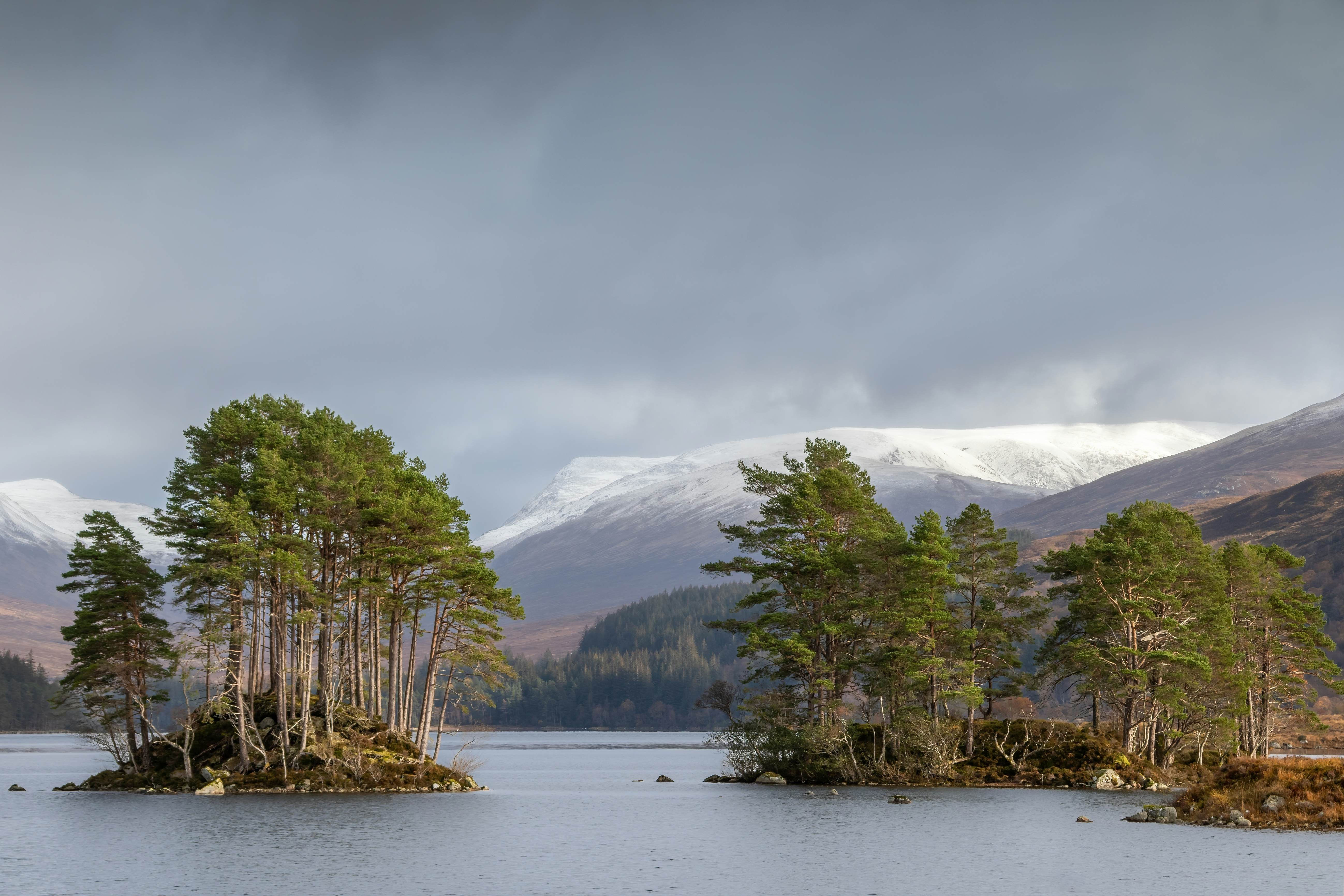 Scots pine trees growing on rocky islets on Loch Ossian. In the background, autumn hills dusted with snow. Cloudy day. Corrour, Highlands, Scotland, UK, License Type: media, Download Time: 2026-01-28T19:00:25.000Z, User: bhealy950, Editorial: false, purchase_order: 65050 - Digital Destinations and Articles, job: Lonely Planet Online Editorial, client: Coorie in Scotland, other: Brian Healy