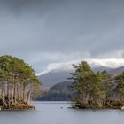 Scots pine trees growing on rocky islets on Loch Ossian. In the background, autumn hills dusted with snow. Cloudy day. Corrour, Highlands, Scotland, UK, License Type: media, Download Time: 2026-01-28T19:00:25.000Z, User: bhealy950, Editorial: false, purchase_order: 65050 - Digital Destinations and Articles, job: Lonely Planet Online Editorial, client: Coorie in Scotland, other: Brian Healy