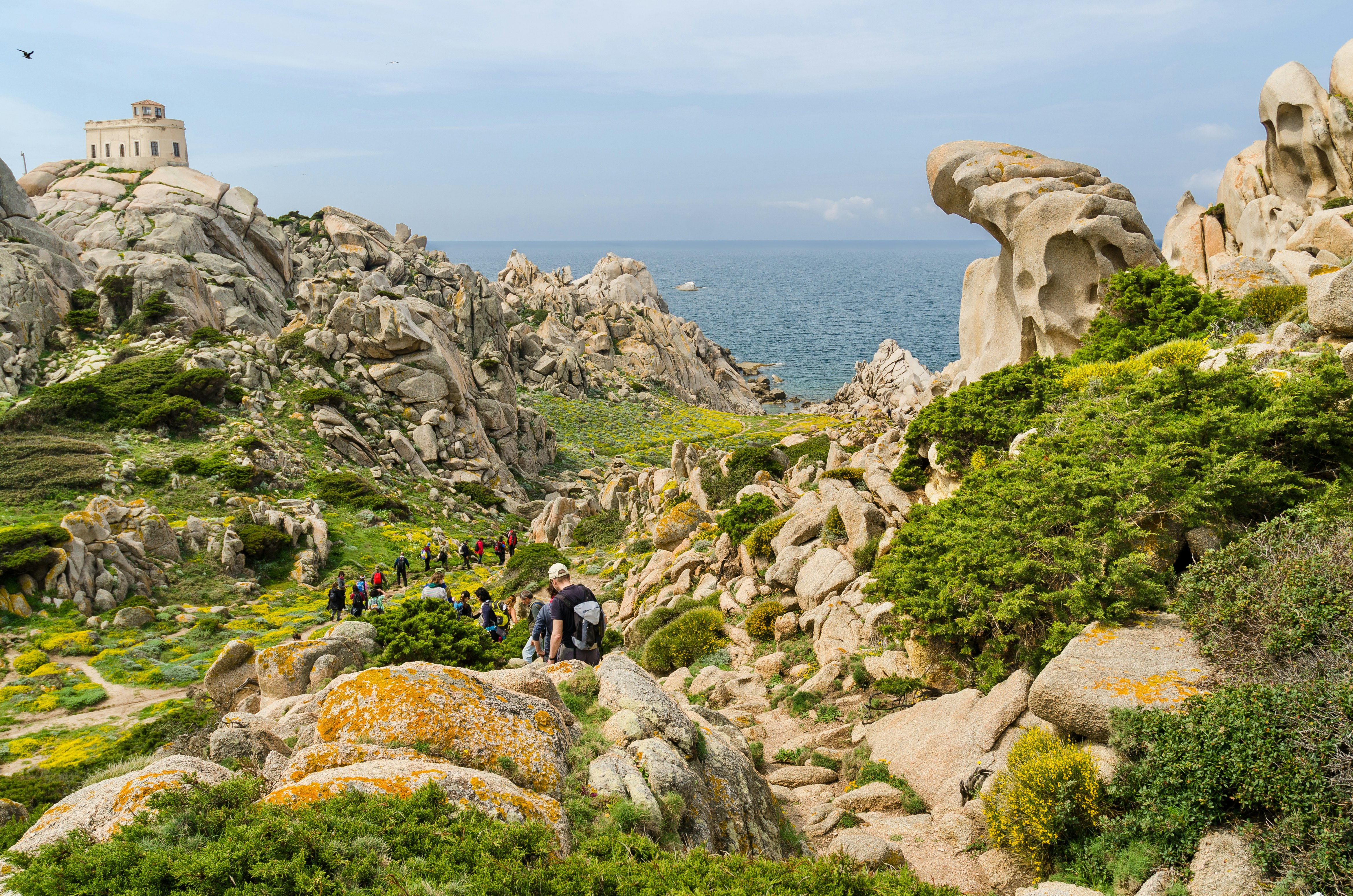 Hikers follow a trail through rocks and fields of wildflowers down towards the coast.