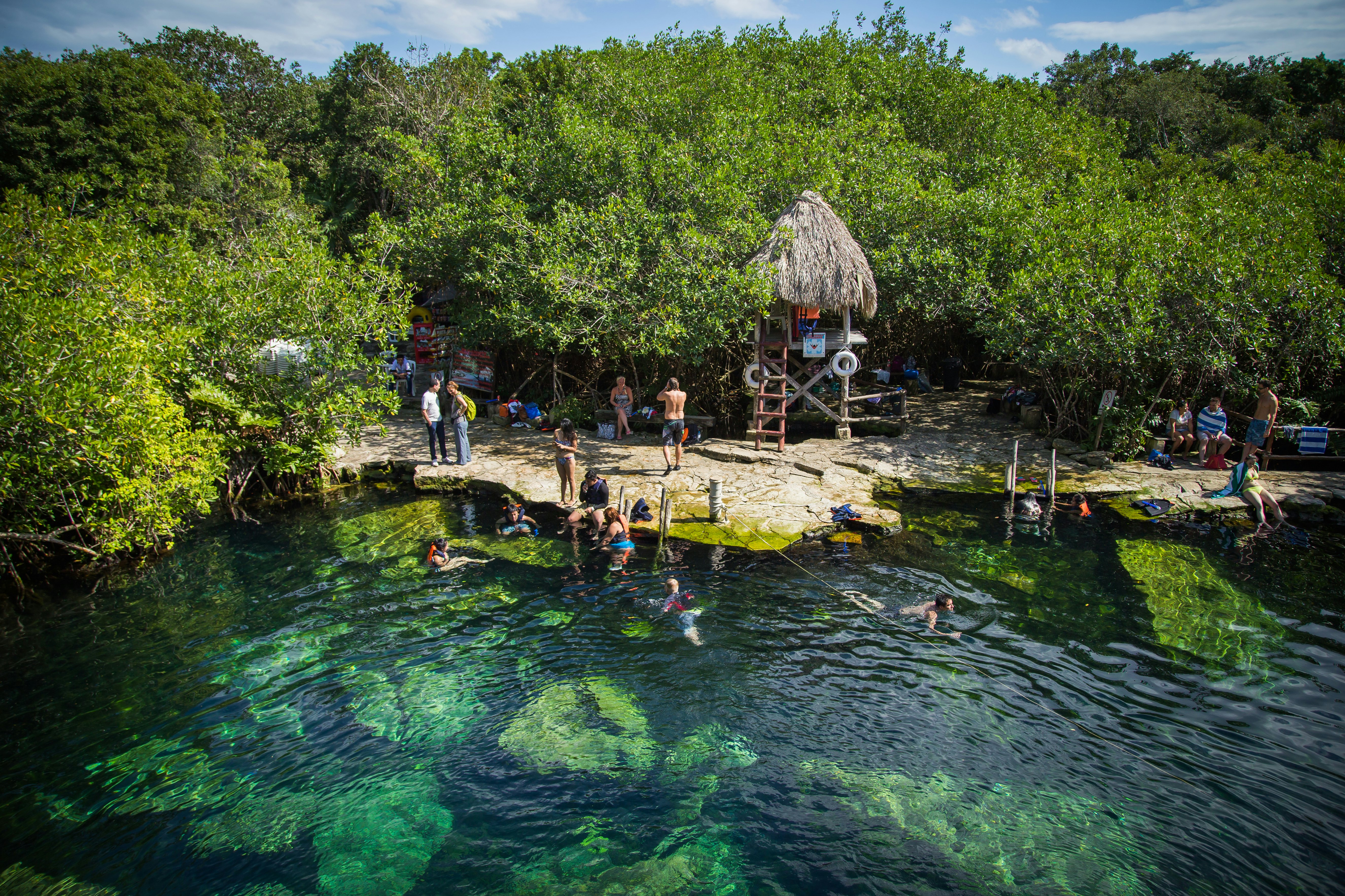 People bathe in the cenote. Cenote - natural lagoon with transparent turquoise water surrounded by rocks and tropical vegetation. Wild jungle.