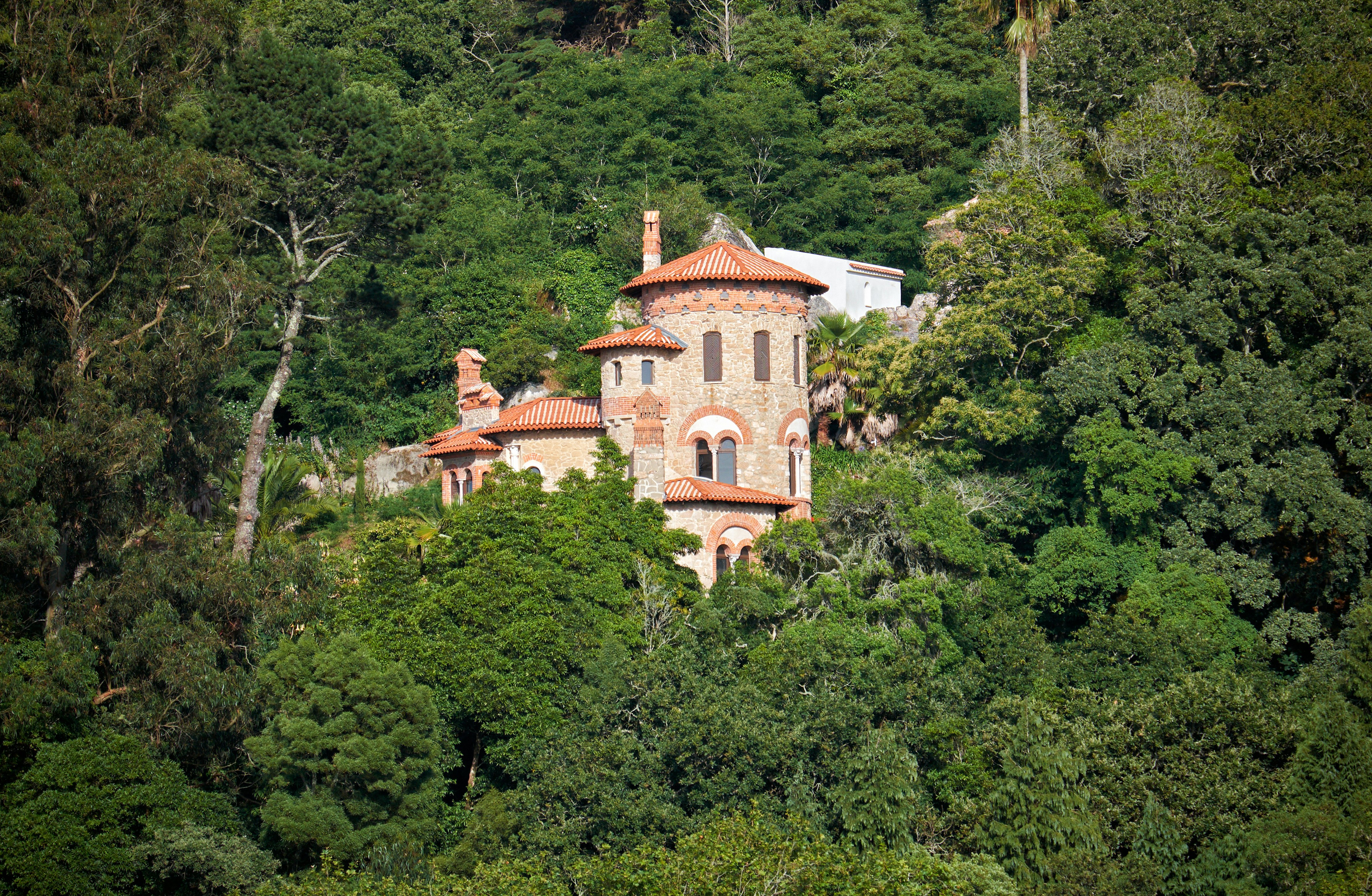 Dense woodland envelops the Villa Sassetti in Sintra, Portugal.