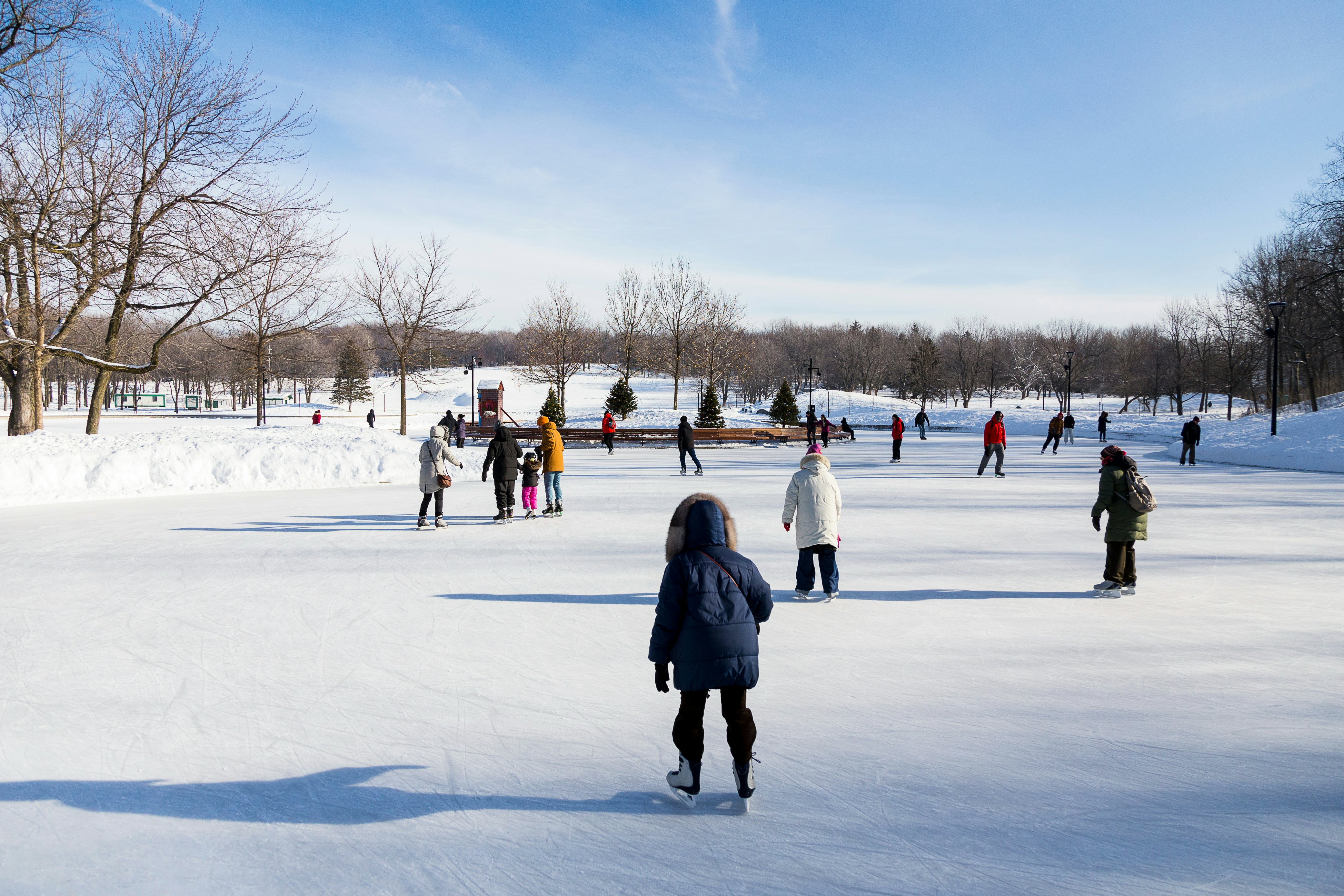 Warmly dressed people skating on frozen lake surrounded by pristine snowy landscape during beautiful sunny day, Beaver Lake, Mount Royal, Montreal, Quebec, Canada.