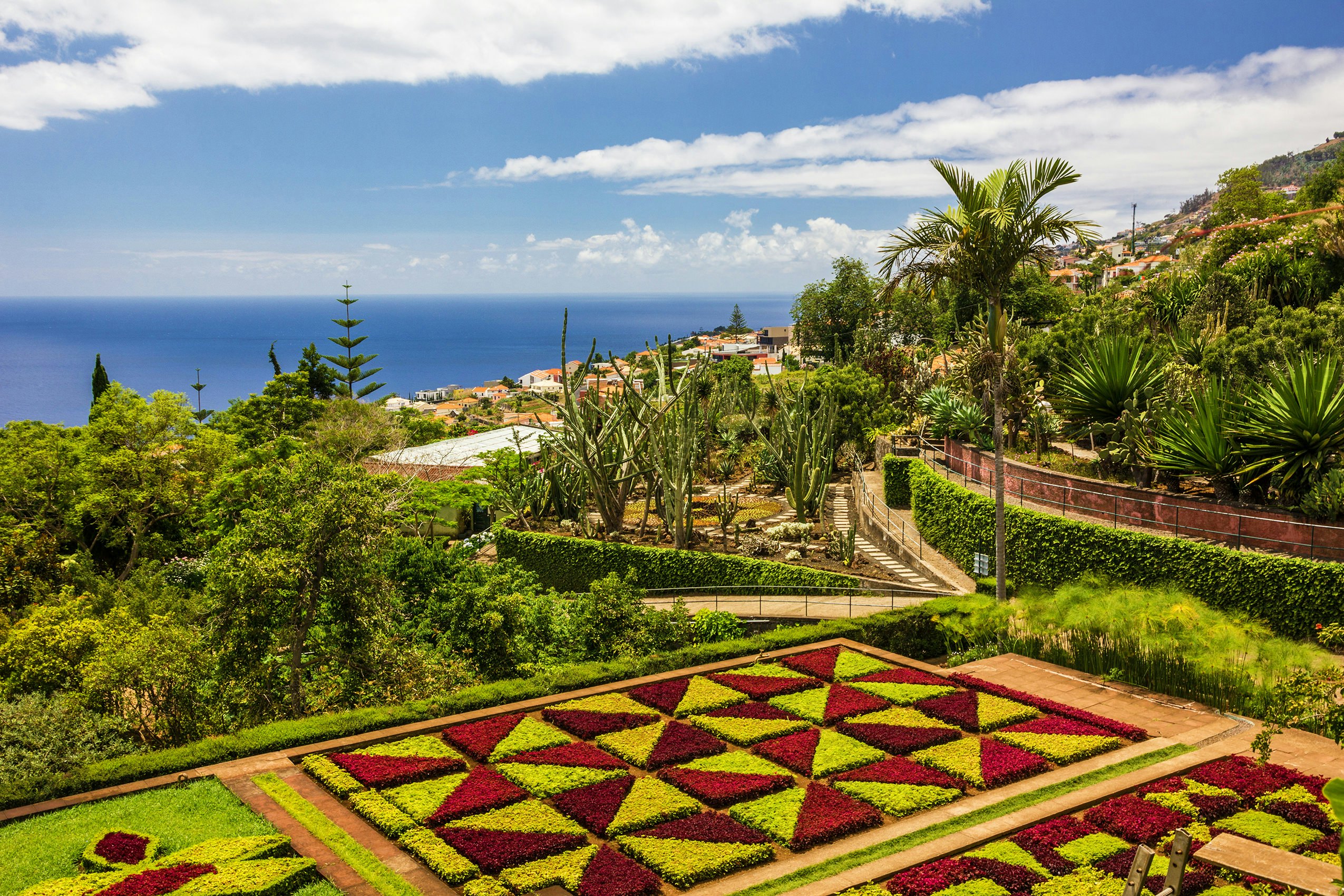 A botanical garden in bloom in the spring sunshine. The ocean glistens in the distance.