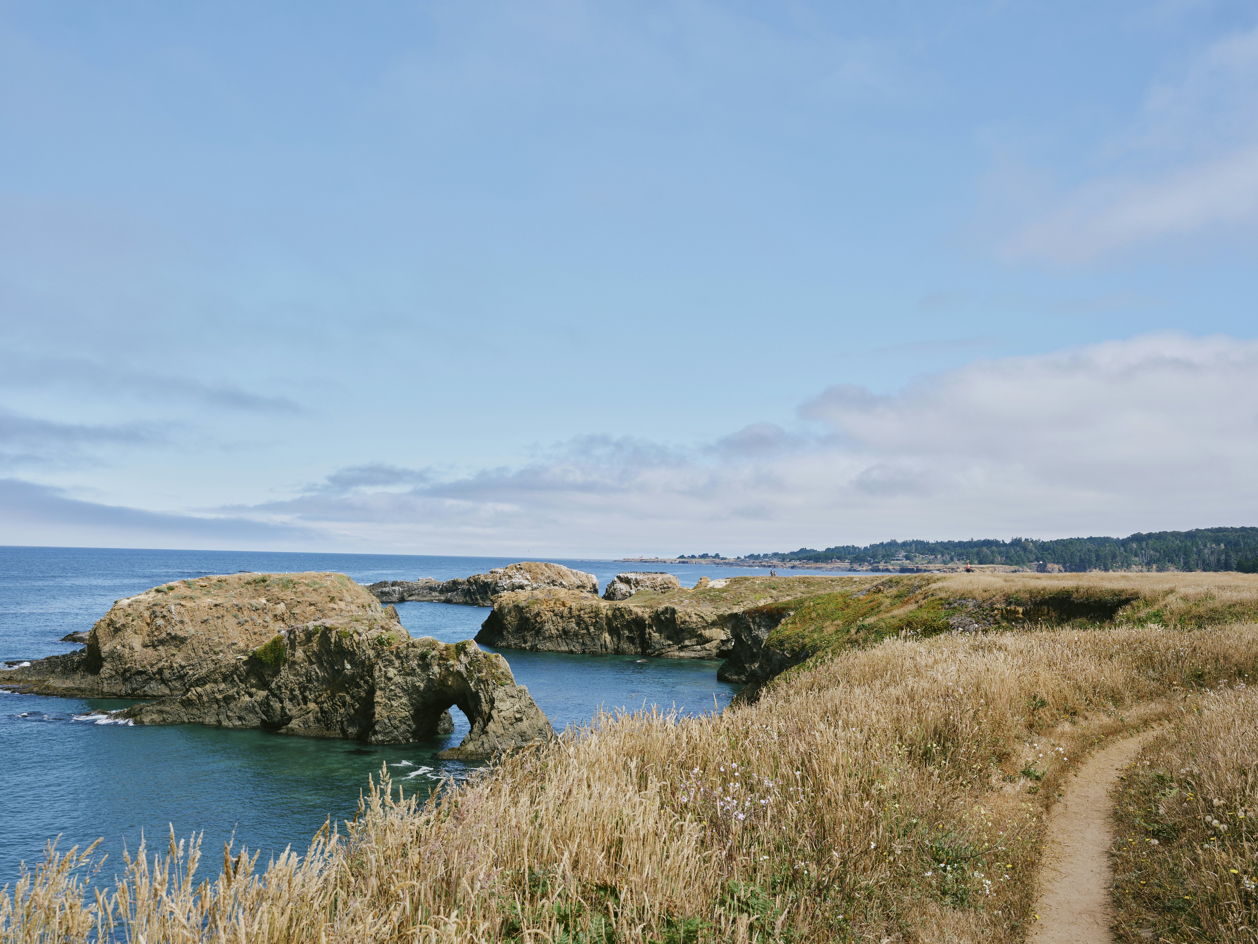 Mendocino Coast, California, July 2025.