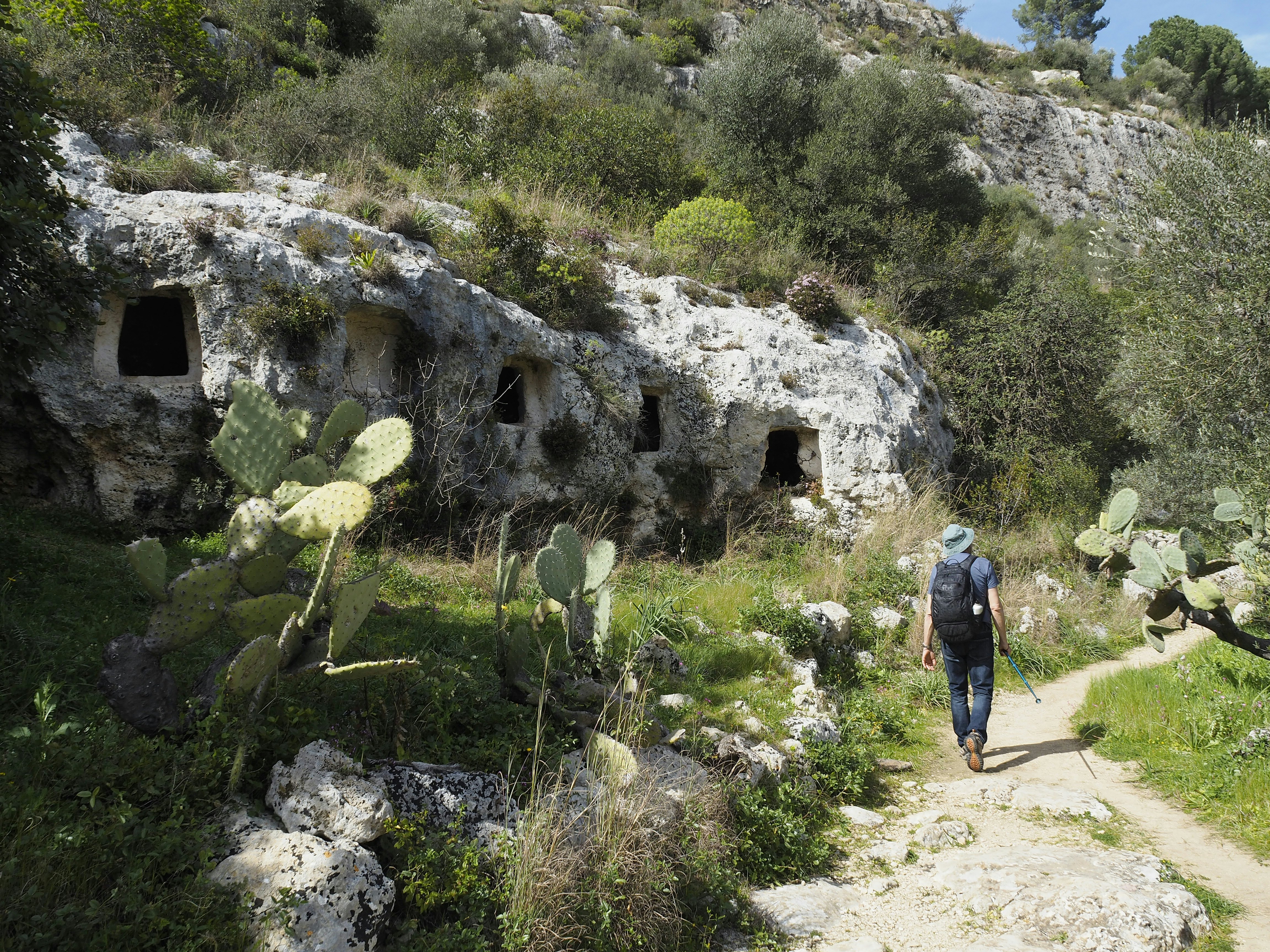 A solo hiker follows a path near cactuses and rectangular cuttings in the nearby rock face.