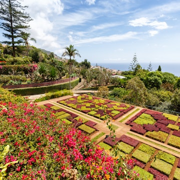 GettyImages-1447874016.jpg
Flowers and plants in botanical garden of Funchal on Madeira island in Portugal