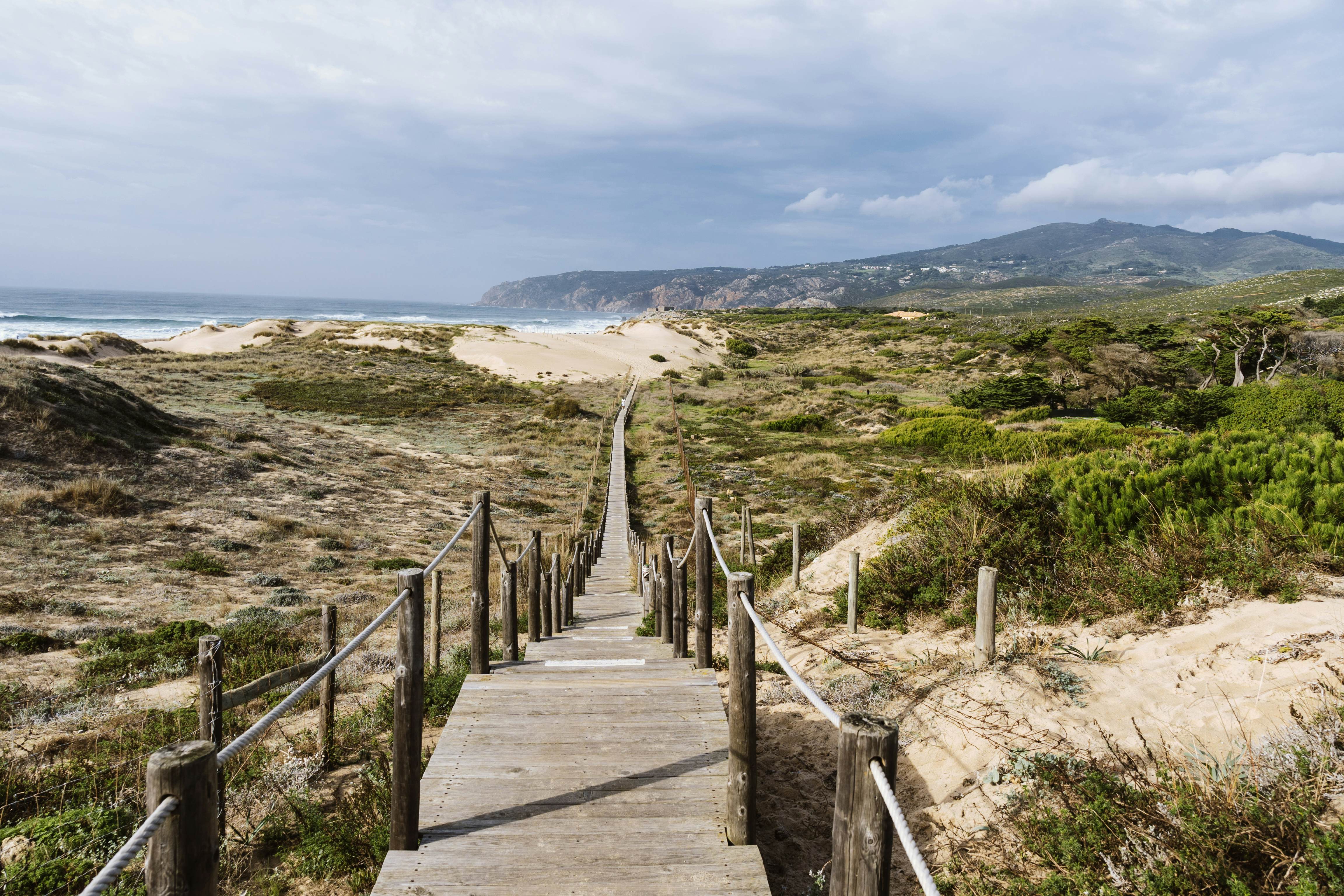 GettyImages-1484891918.jpg
Empty, wooden boardwalk on a beach Praia do Guincho in Sintra. View of grass and sand with hills and Atlantic Ocean in the background