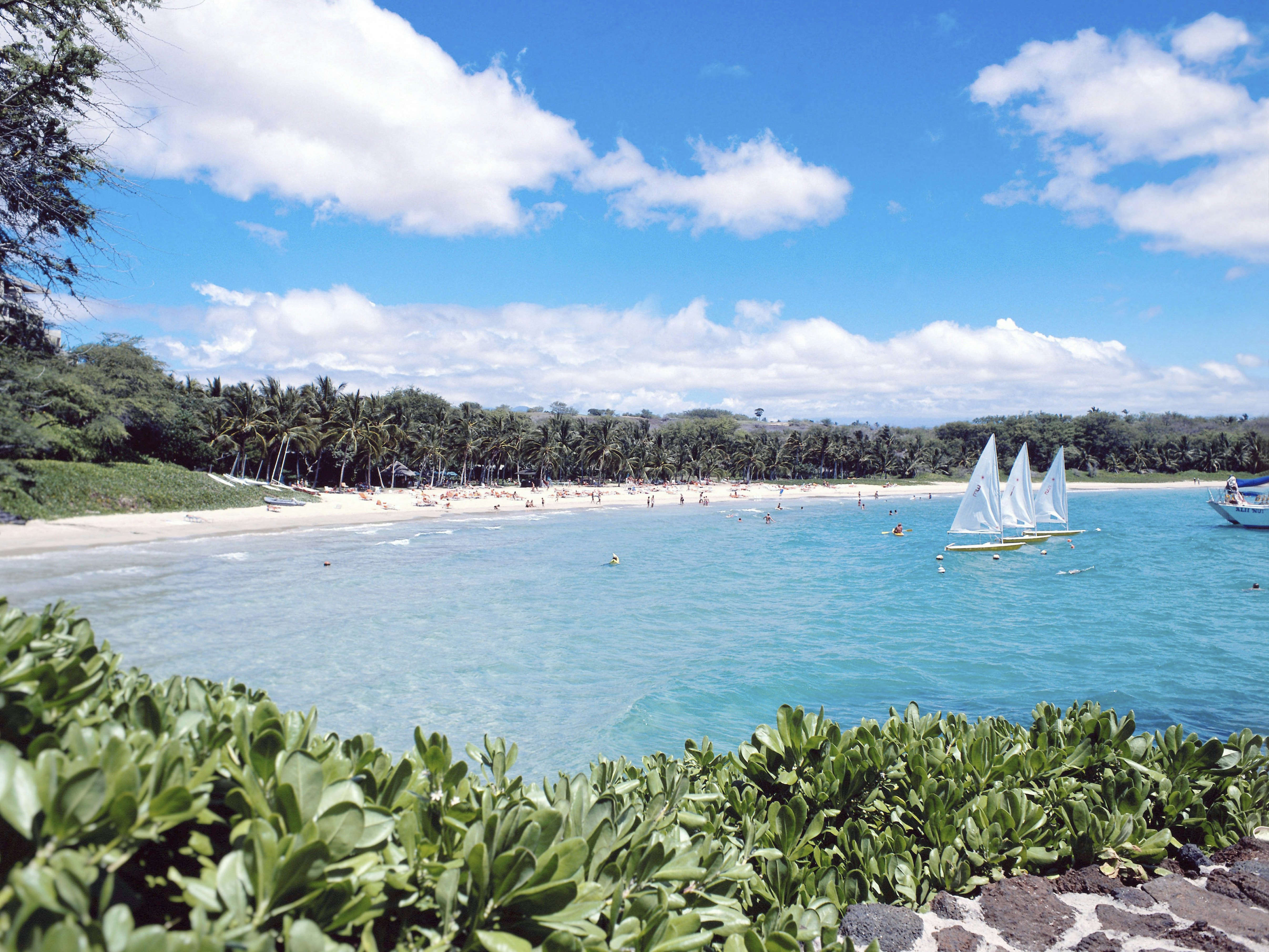 View of the beach from a headland with sailing boats, swimmers and white sand beach in the background. Blue skies above.