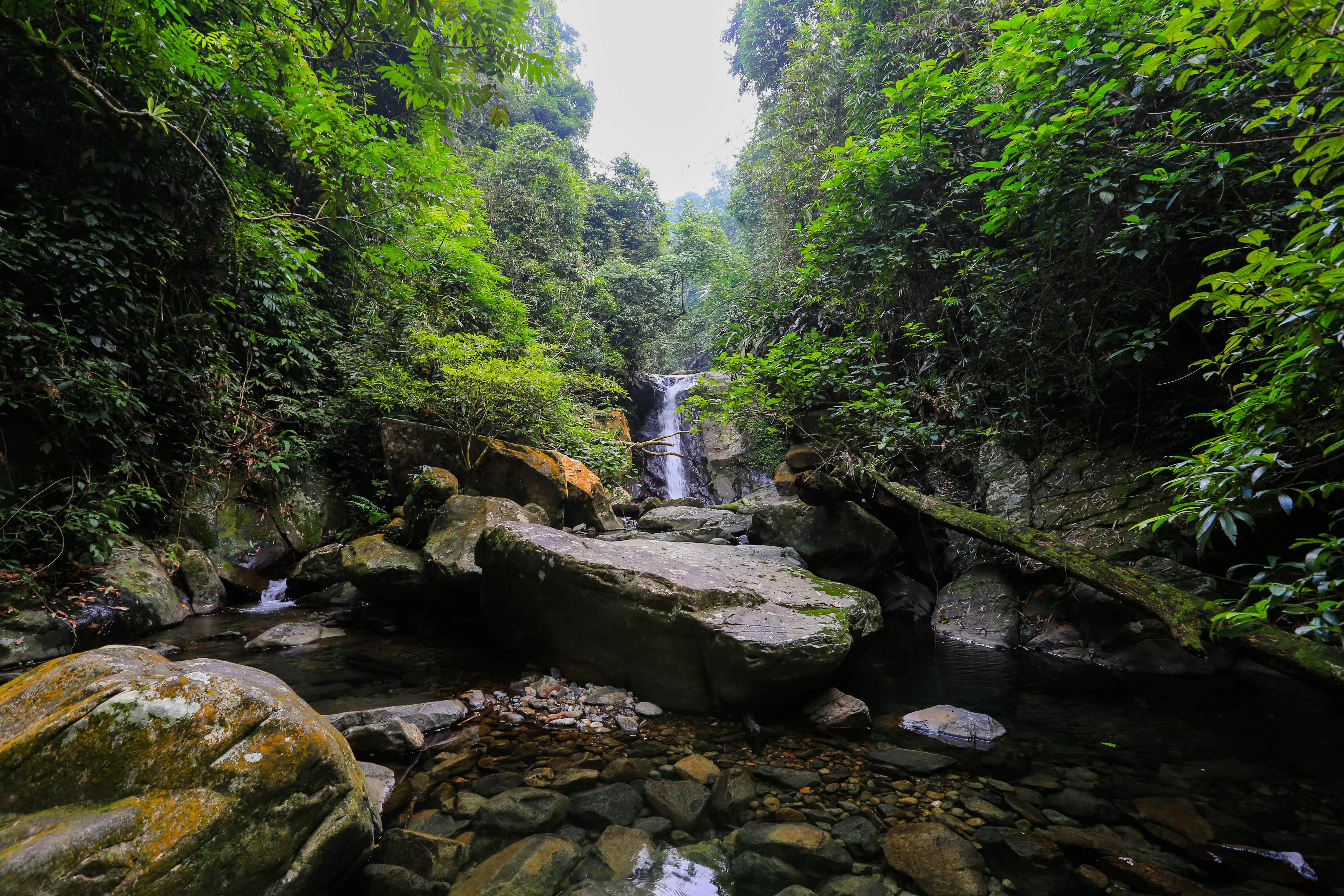Water flows into a clear waters with visible rocks underneath