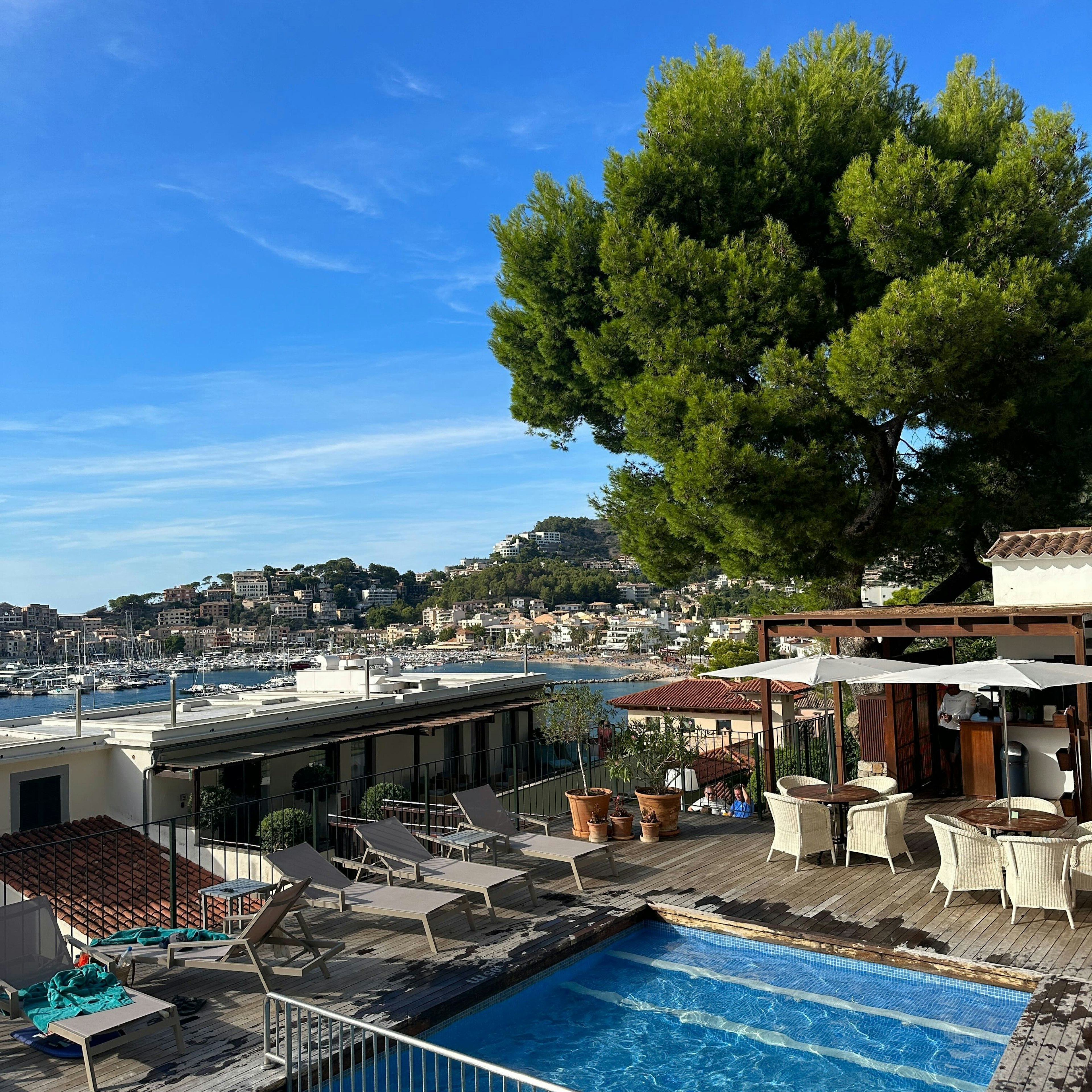 A pool surrounded by lounge chairs and tables and chairs under umbrellas; there is a large tree to one side, and the ocean is in the distance.