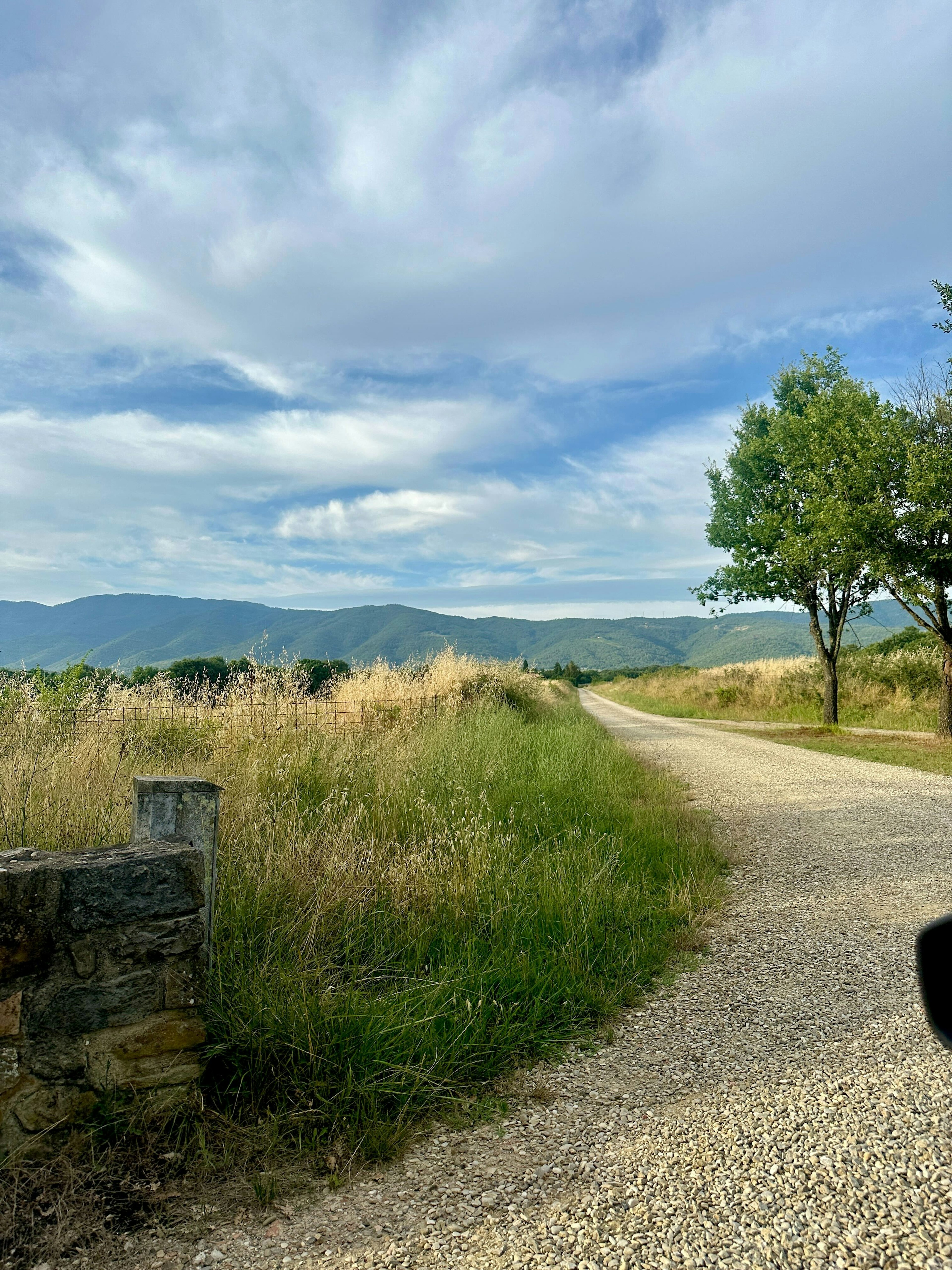 A gravel path with tall grasses on either side; green hills are in the distance.