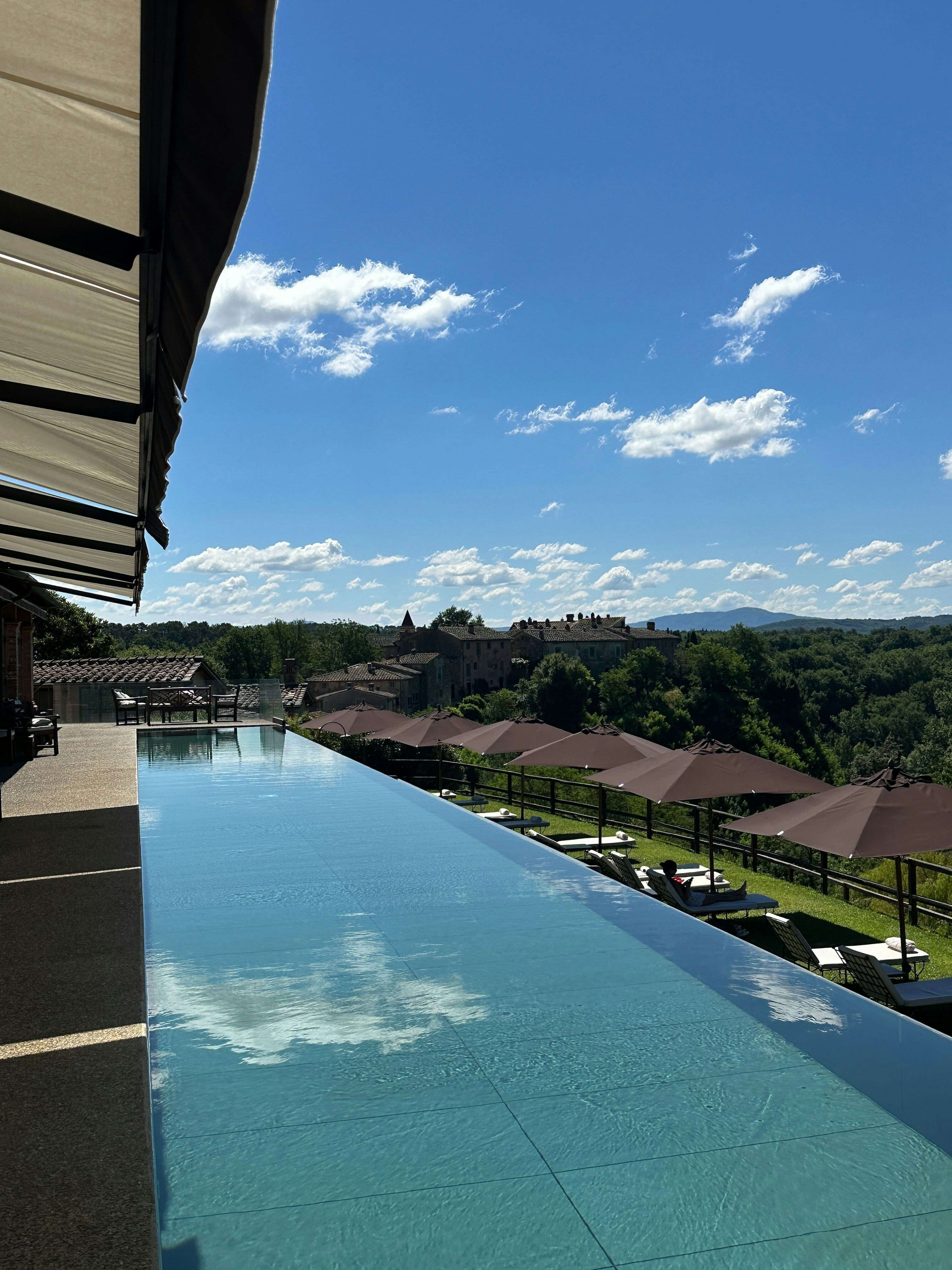An long infinity pool; below are lounge chairs set in grass with umbrellas looking out at a forested area.