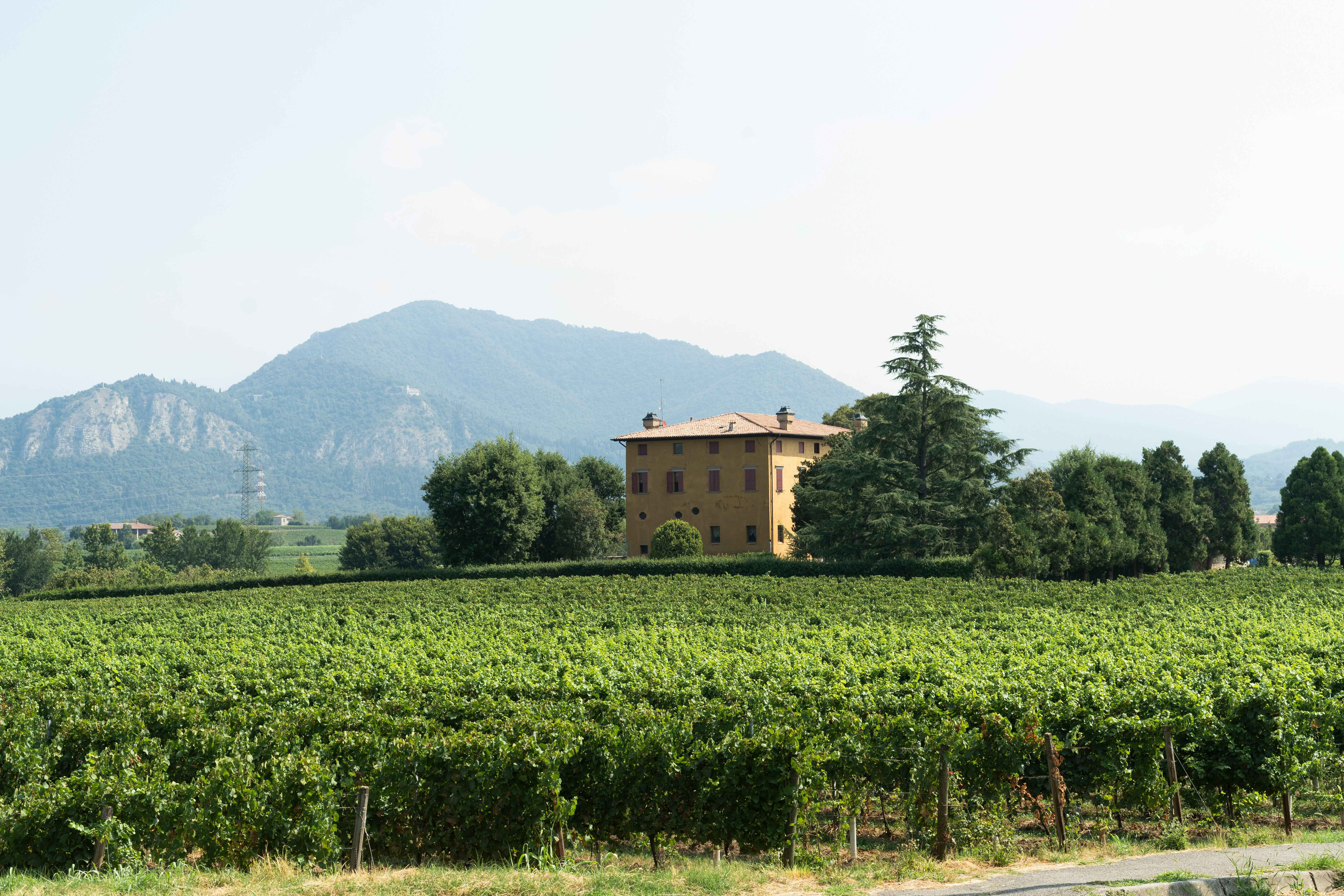August 2024: Freccianera Fratelli Berlucchi has been producing Franciacorta since 1927. The wine is known as the champagne of Italy, drier and less sweet than prosecco.