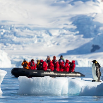 Brekke's Antarctica cruise
Photos by Jeremy Fratkin, rights managed