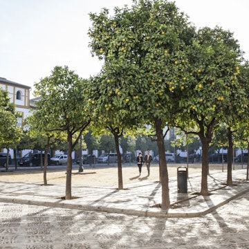 Lonely Planet Traveller Magazine, Issue 93, September, The Perfect Weekend
Plaza with orange trees in Barrio de Santa Cruz