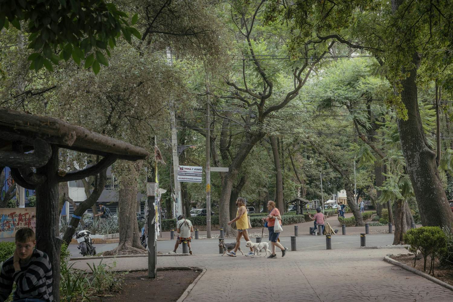 MEXICO CITY, MEXICO — May 2025
Parque México, located in the Condesa neighborhood