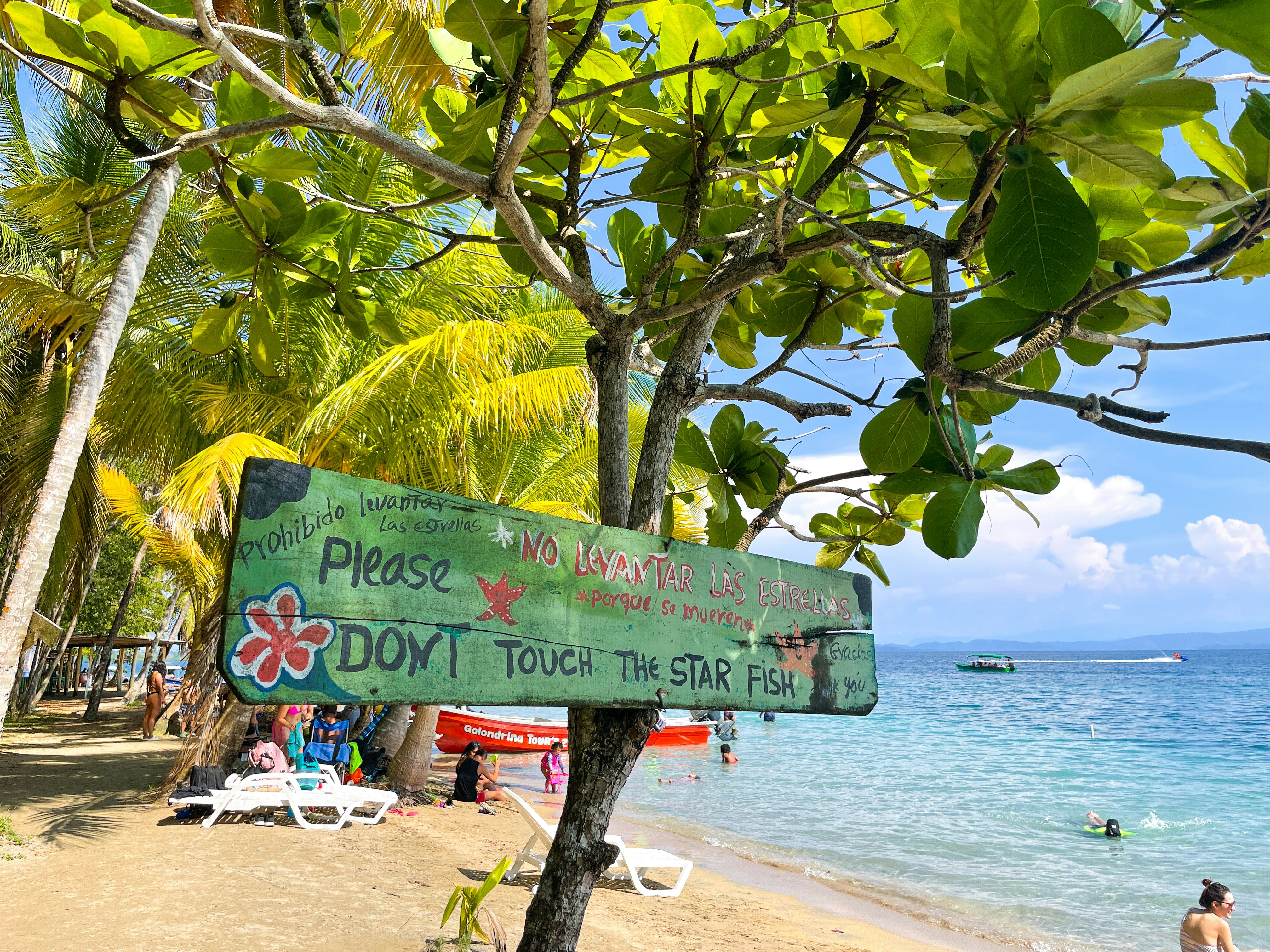 Playa Estrella,  Don't touch the starfish sign in Panama, 2025.