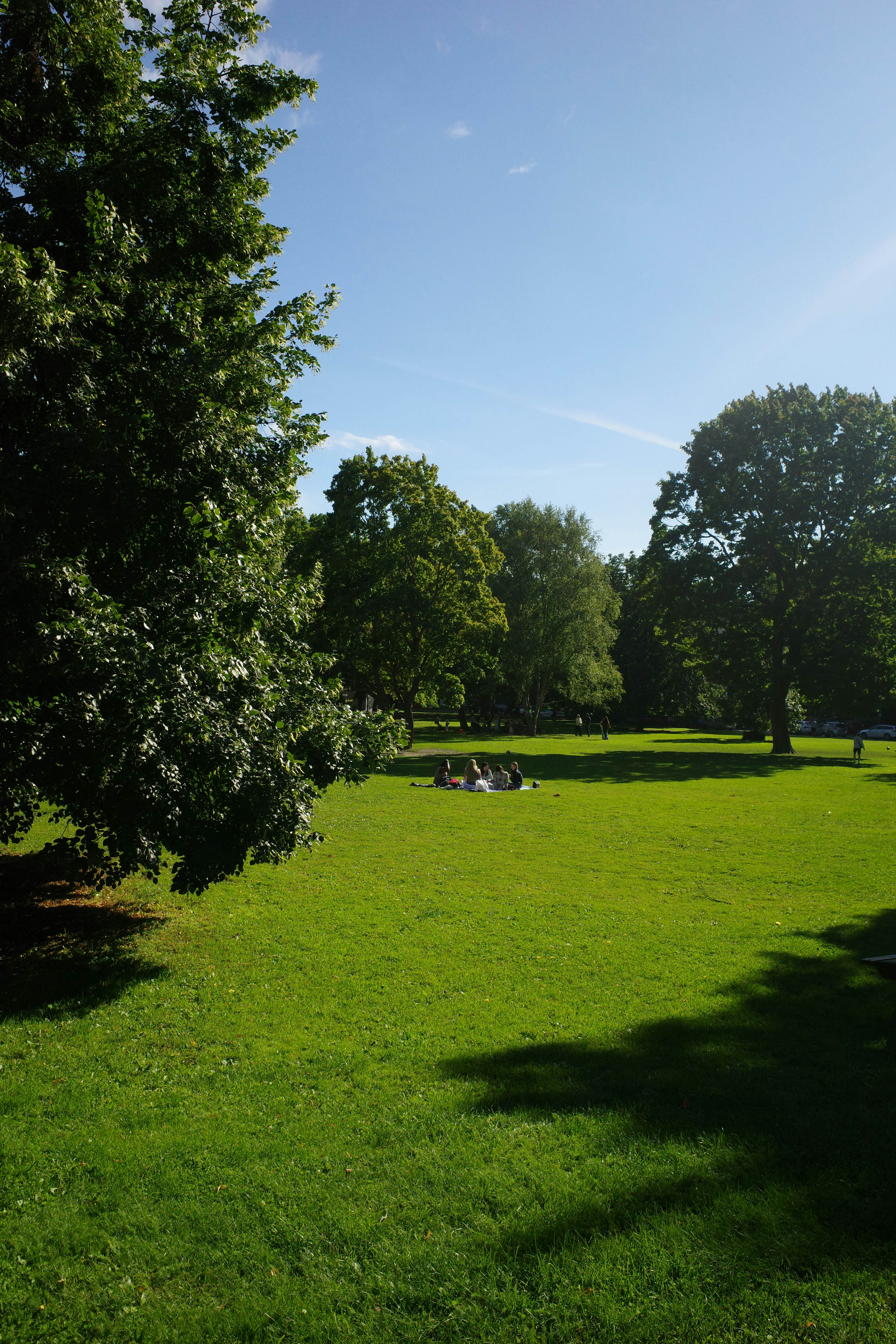 A group of people at the end of a long green lawn with trees on the perimeter.