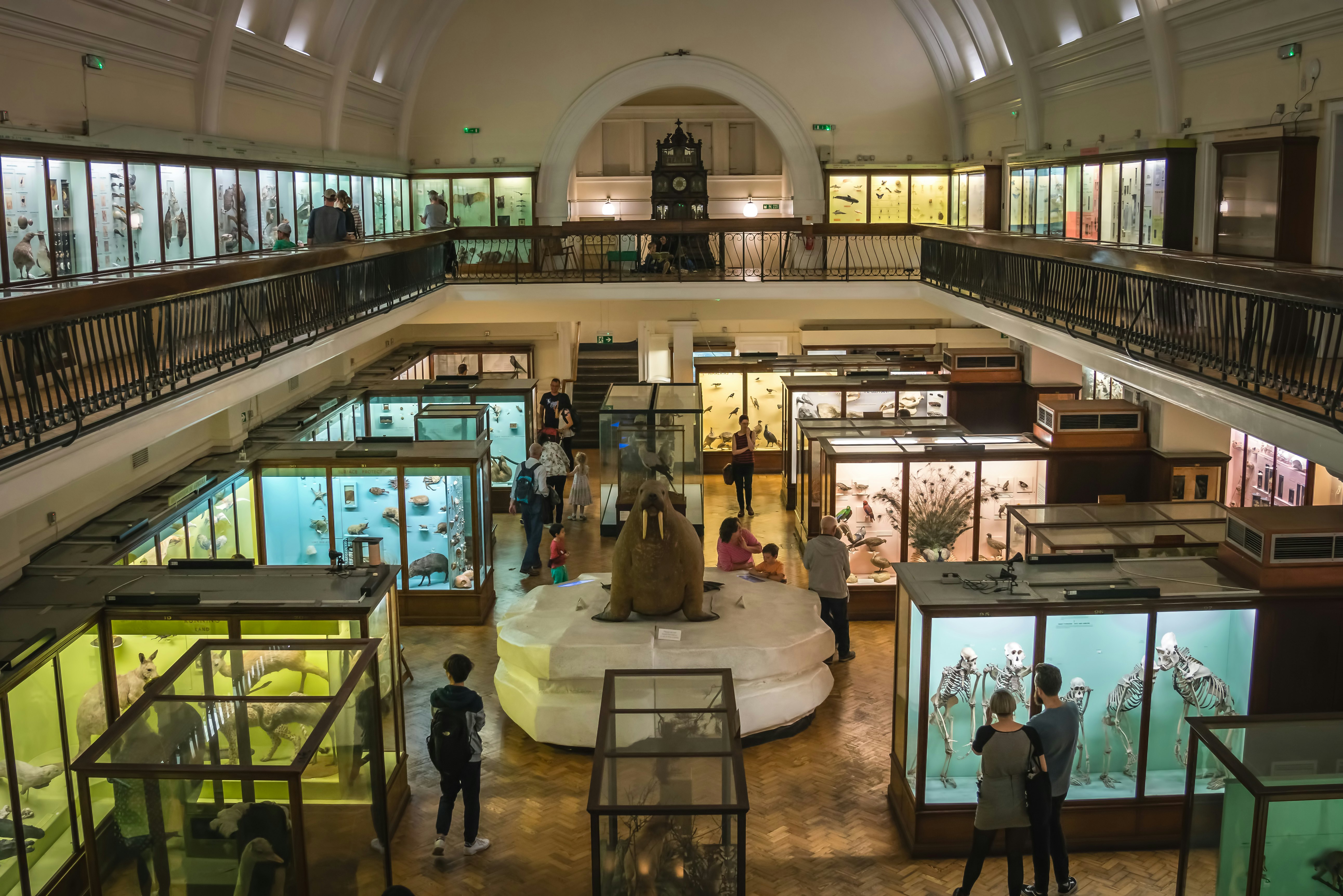 London, England: Interior Hall with exhibits in the Horniman Museum in Forest Hill, London