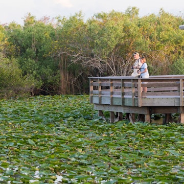EVERGLADES NATIONAL PARK, FLORIDA / USA - February 22, 2019: Visitors enjoy the sights along the Anhinga Trail in Everglades National Park. License Type: media Download Time: 2021-01-22T08:06:50.000Z User: Is Editorial: Yes purchase_order:
