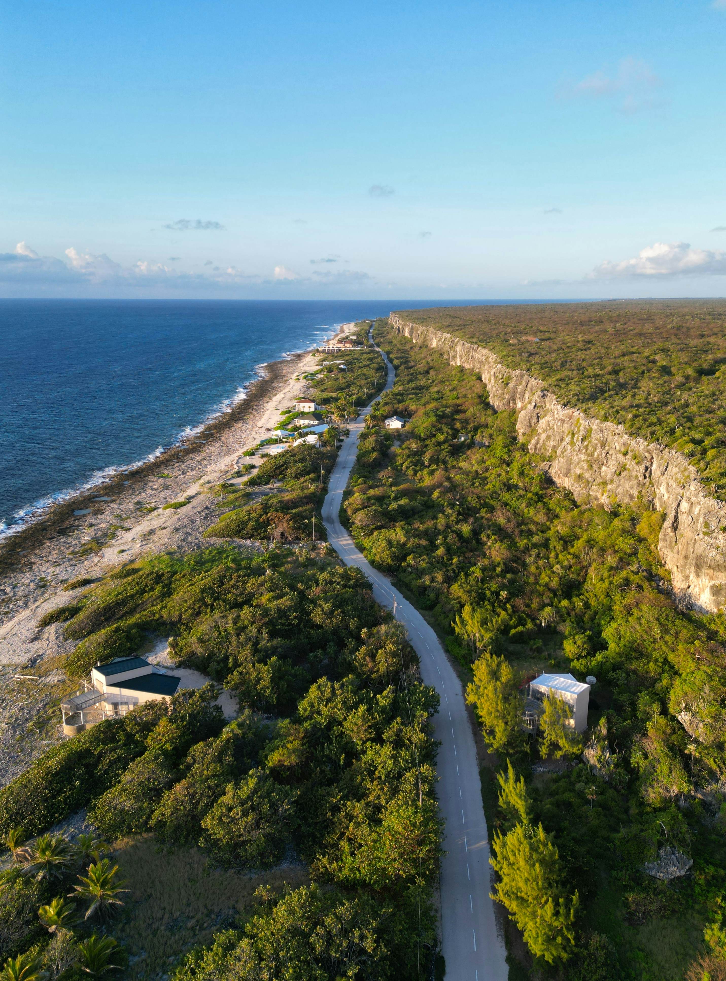 A coastal road through forest.