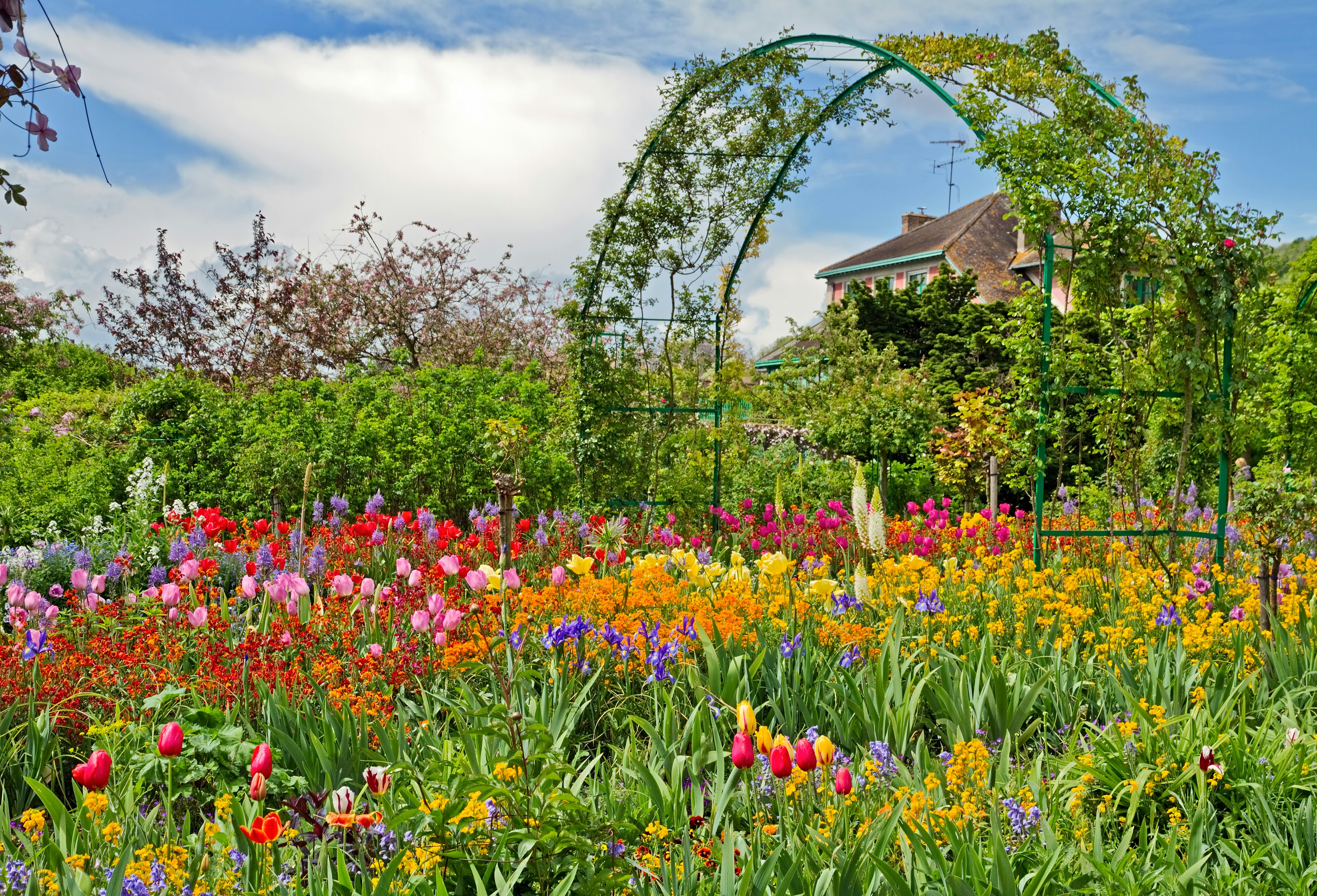 A lush garden with flowers of all types and colors in full bloom near a cottage.