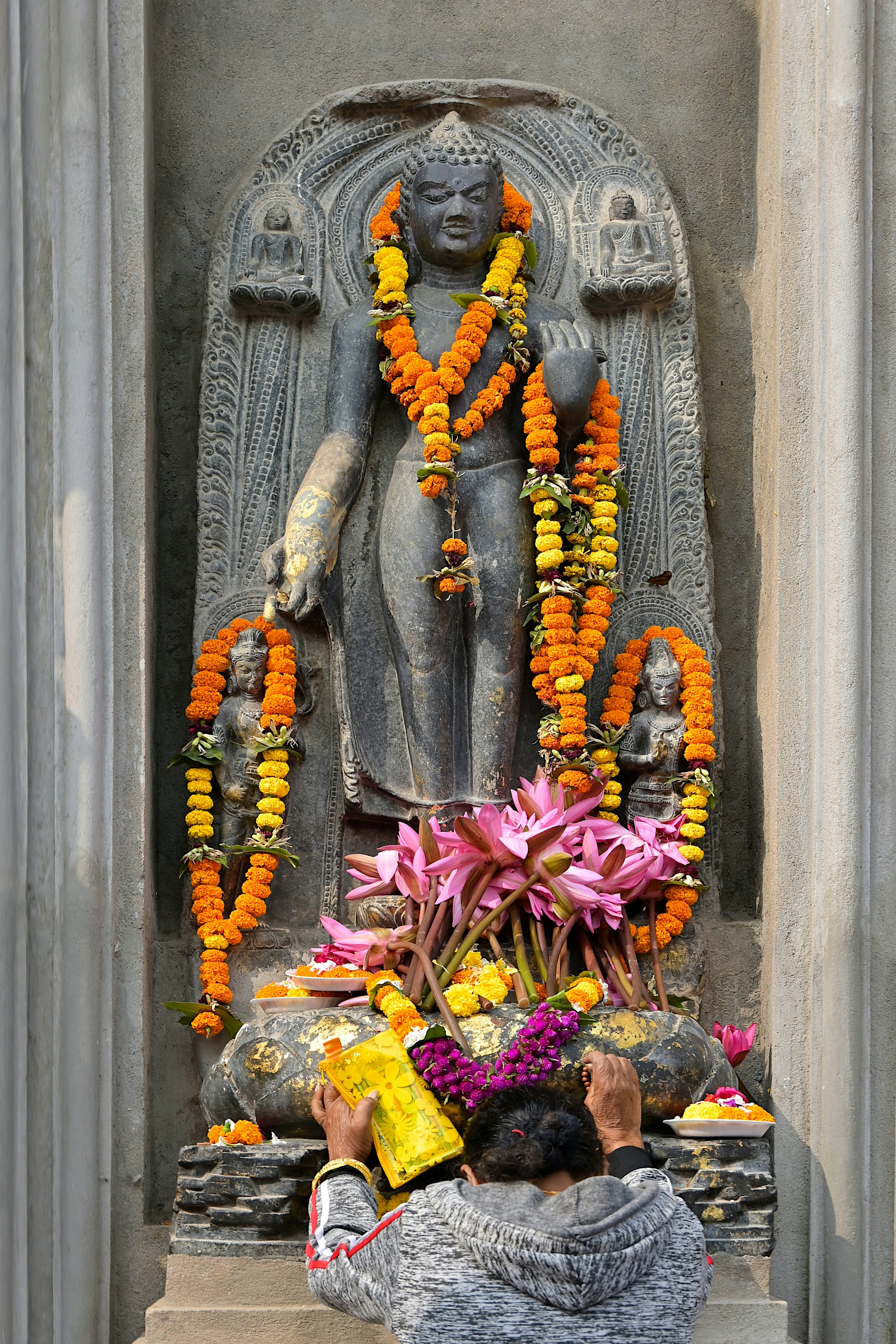 Bodhgaya, Bihar, India - Nov 22 2023: A devotee paying obeisance to a statue of the Buddha in standing pose at the Mahabodhi Temple  License Type: media  Download Time: 2024-06-24T04:06:57.000Z  User: Norma.PrauseBrewer_LonelyPlanet  Is Editorial: Yes  purchase_order: 56530