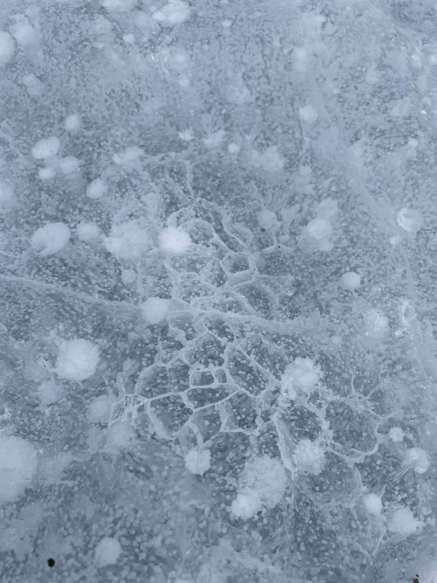 A sheet of ice with honeycomb shapes within it.