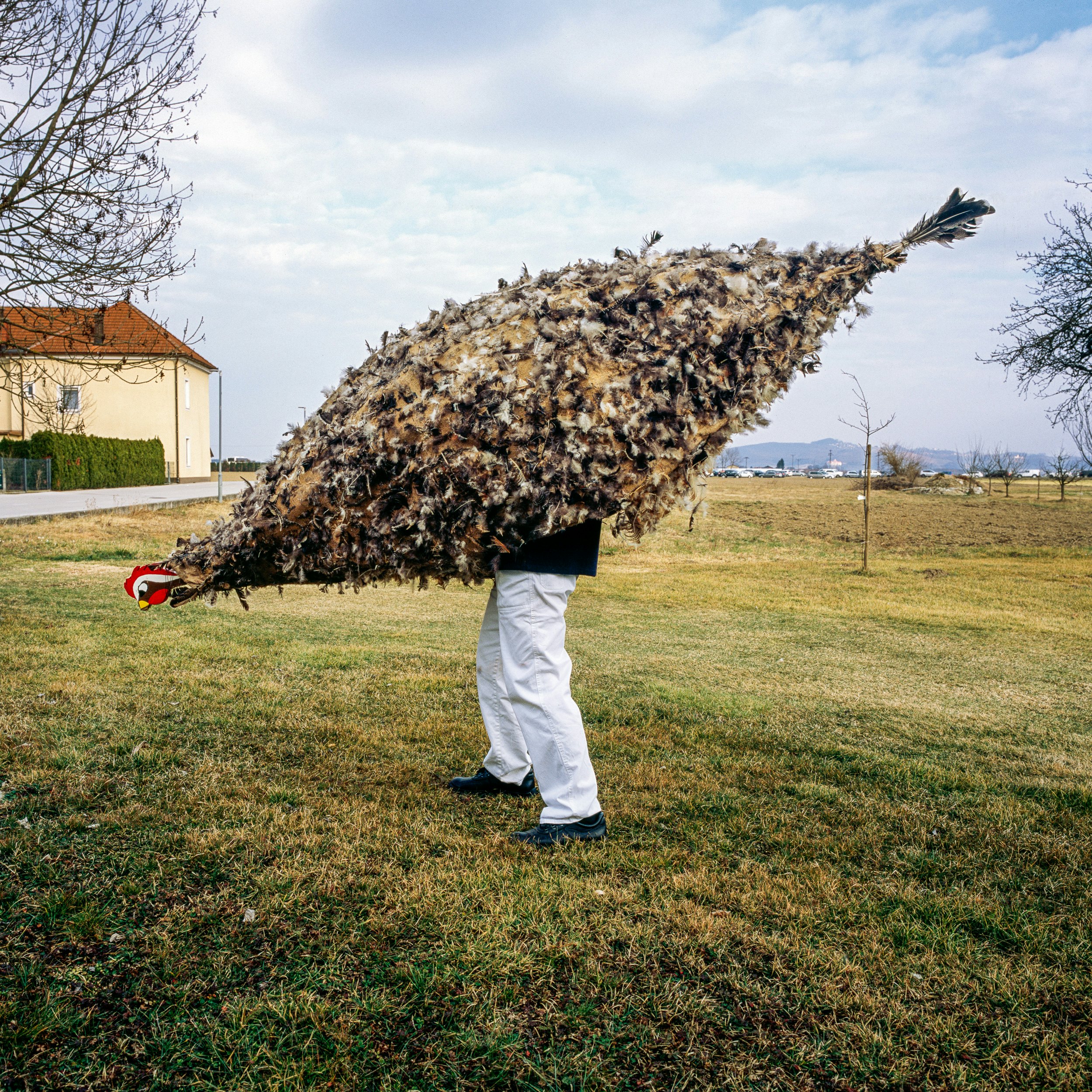 A person wearing white pants and a monumental chicken mask stands in grass.