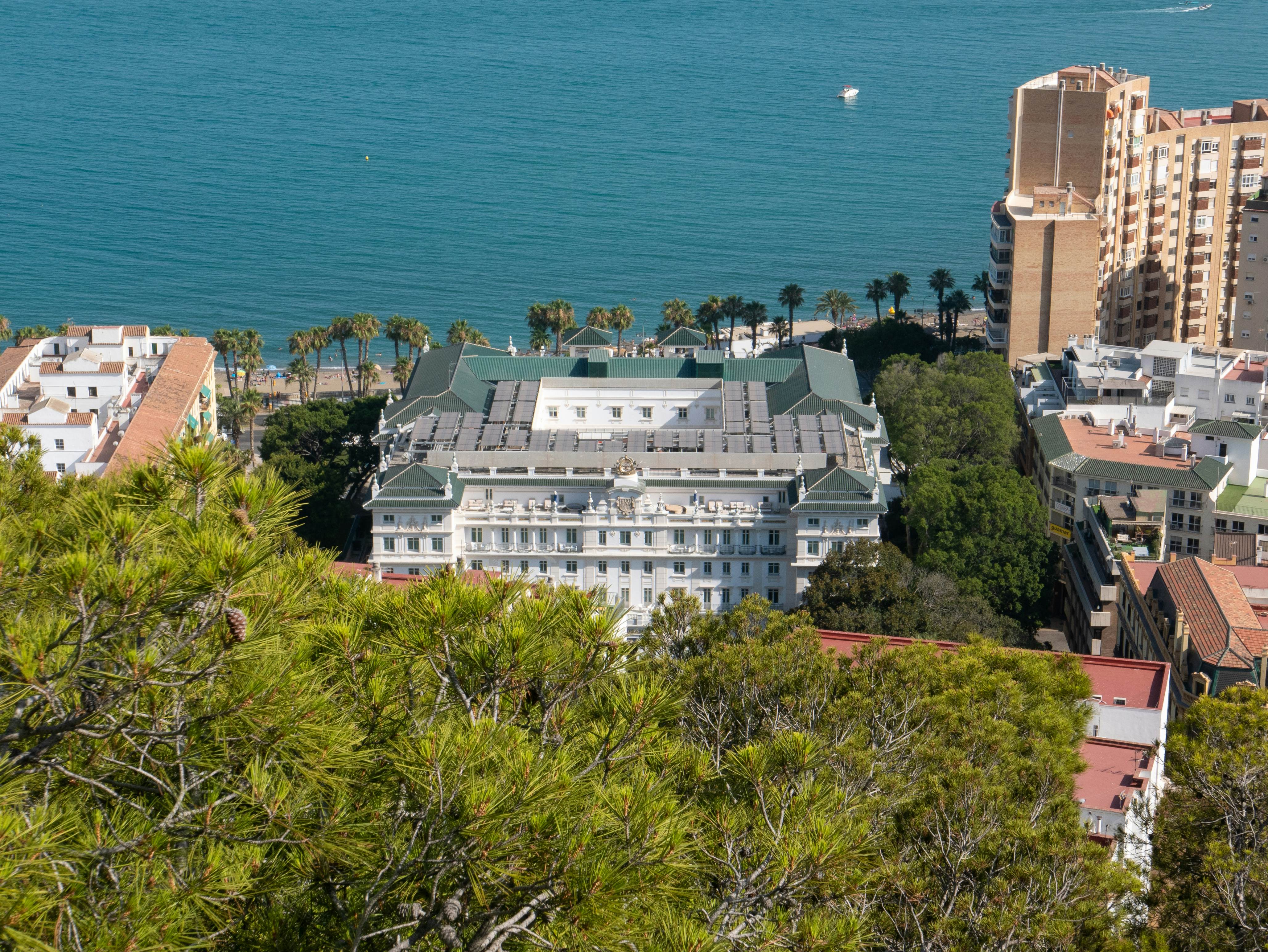  A large white building surrounded by palm trees faces the sea.