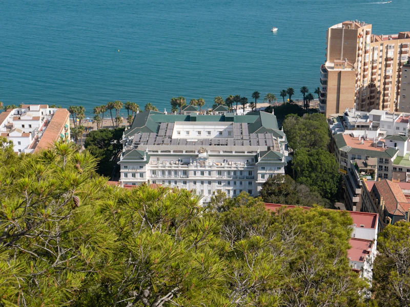 A large white building surrounded by palm trees faces the sea.