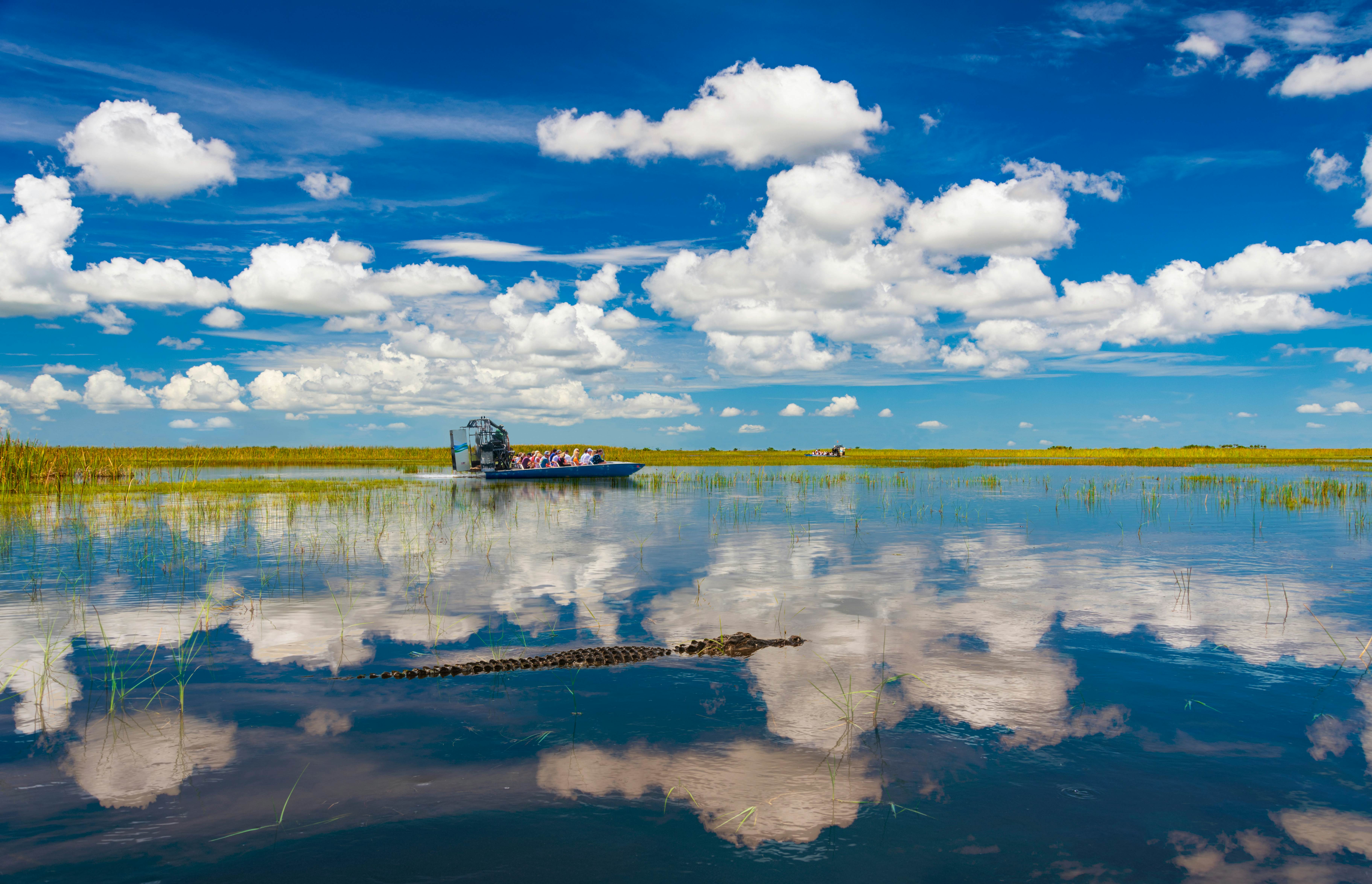 Blue skies are reflected in the still waters of the everglades while tourists take airboat rides to visit aligators in the wild, License Type: media, Download Time: 2025-03-24T15:55:57.000Z, User: Eointloughney87, Editorial: false, purchase_order: 56530 - Guidebooks, job: Global Publishing-WIP, client: Florida 11, other: Eoin T Loughney