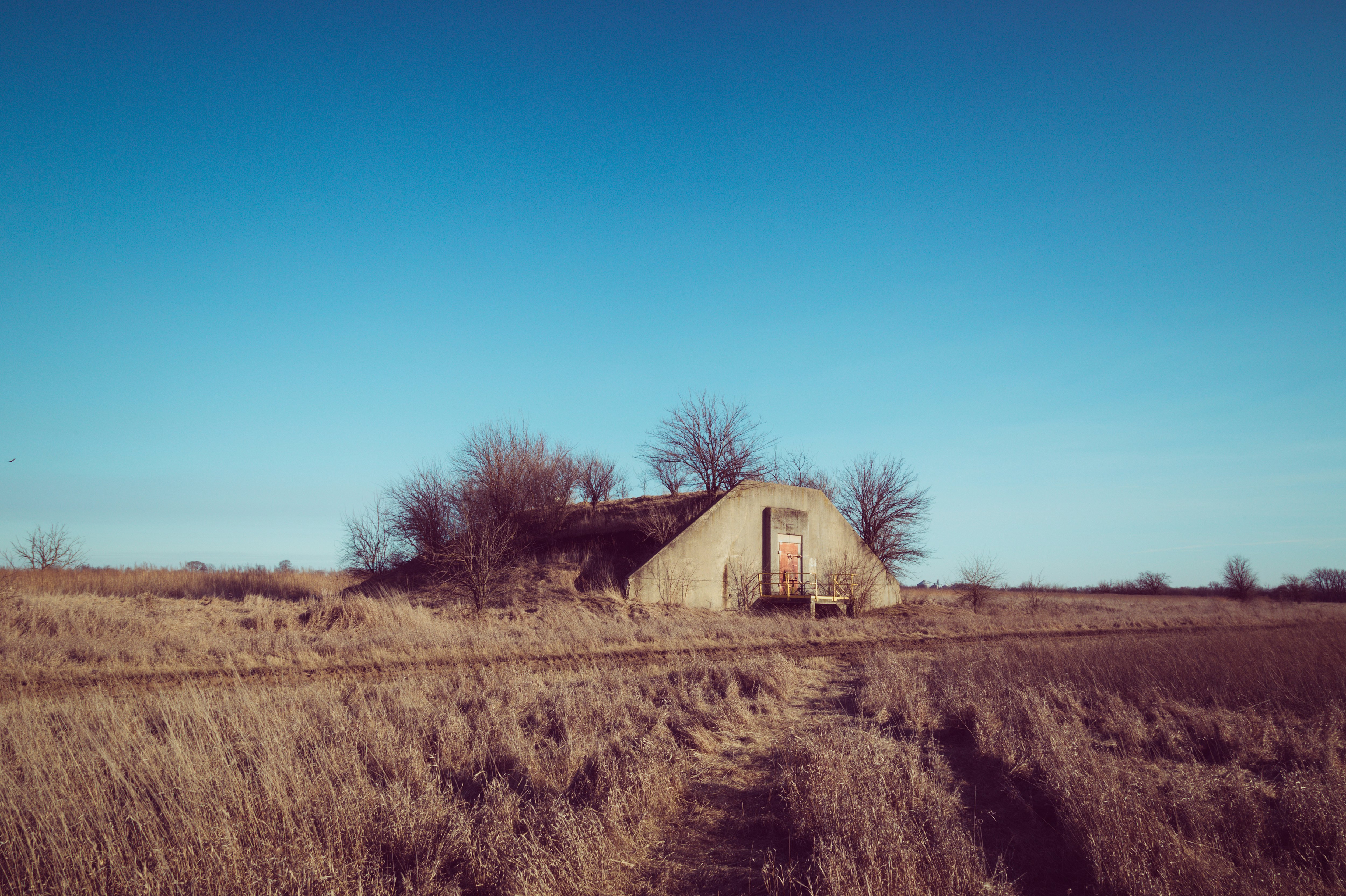 An abandoned building is overgrown with vegetation on a prairie, under a cloudless blue sky.
