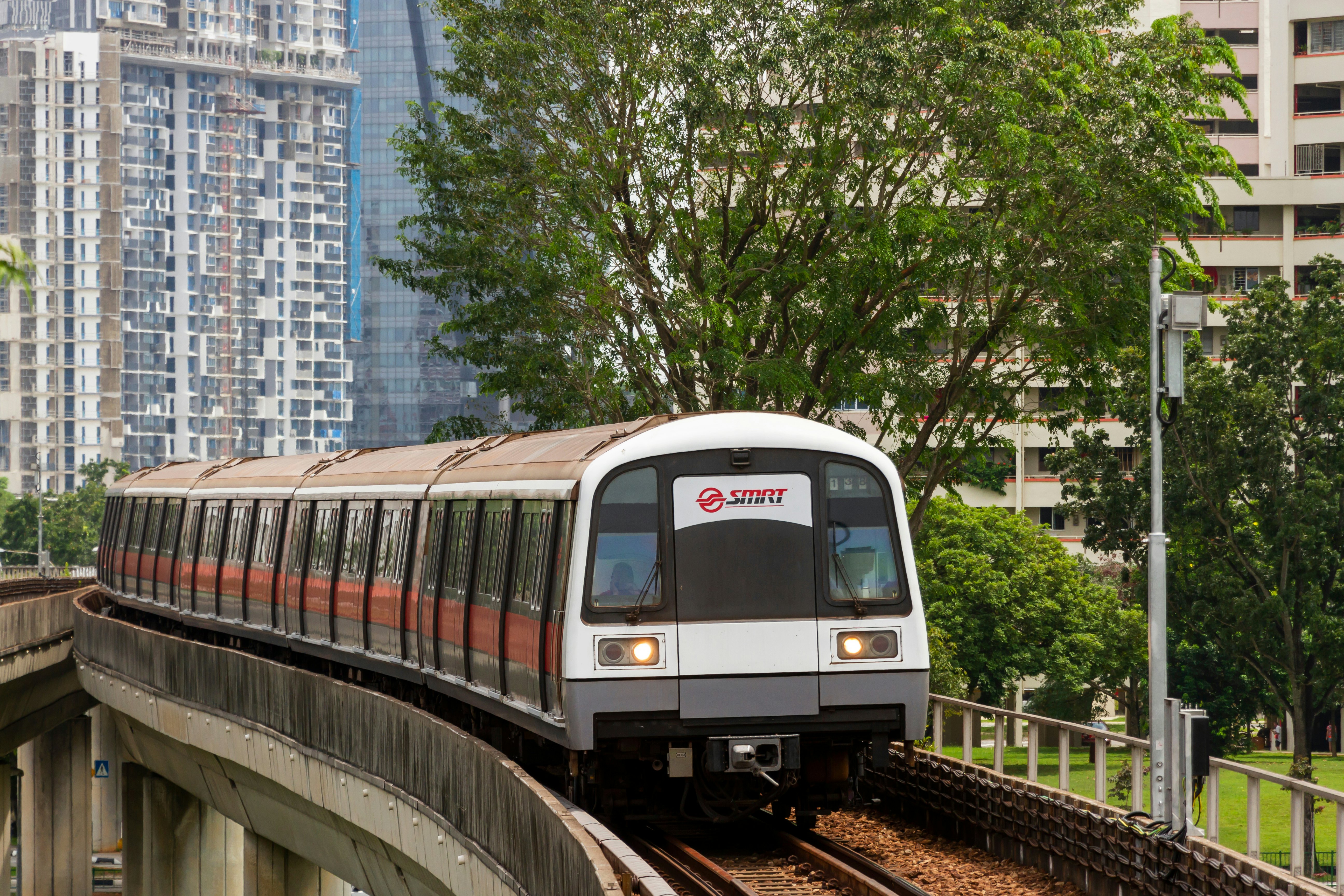 A subway travels on an elevated track in a city, past trees and tall apartment towers.