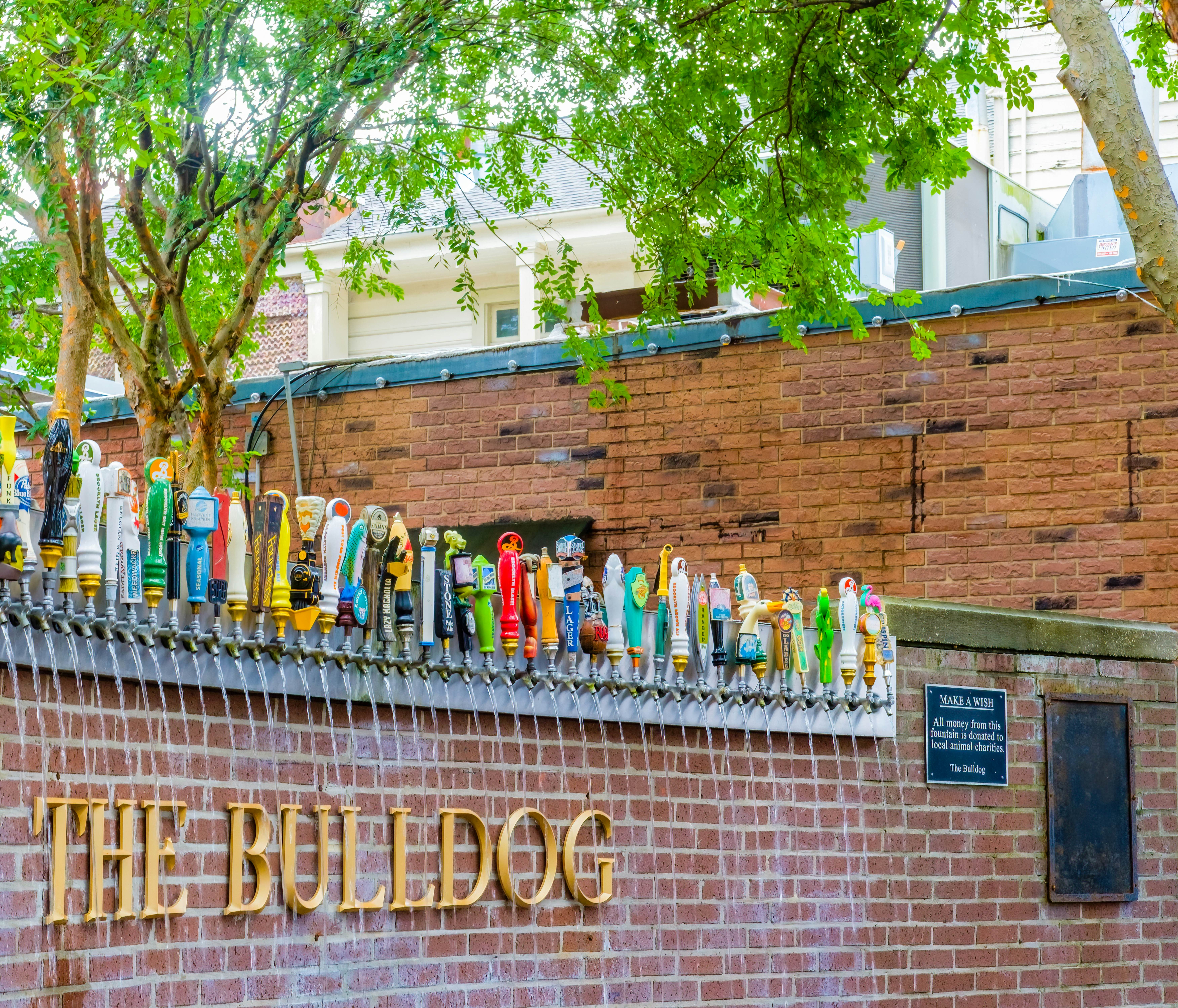 A brick wall lined with beer taps of multiple colors. Water flows from each tap down in front of the wall which has gold lettering that says "The Bulldog."