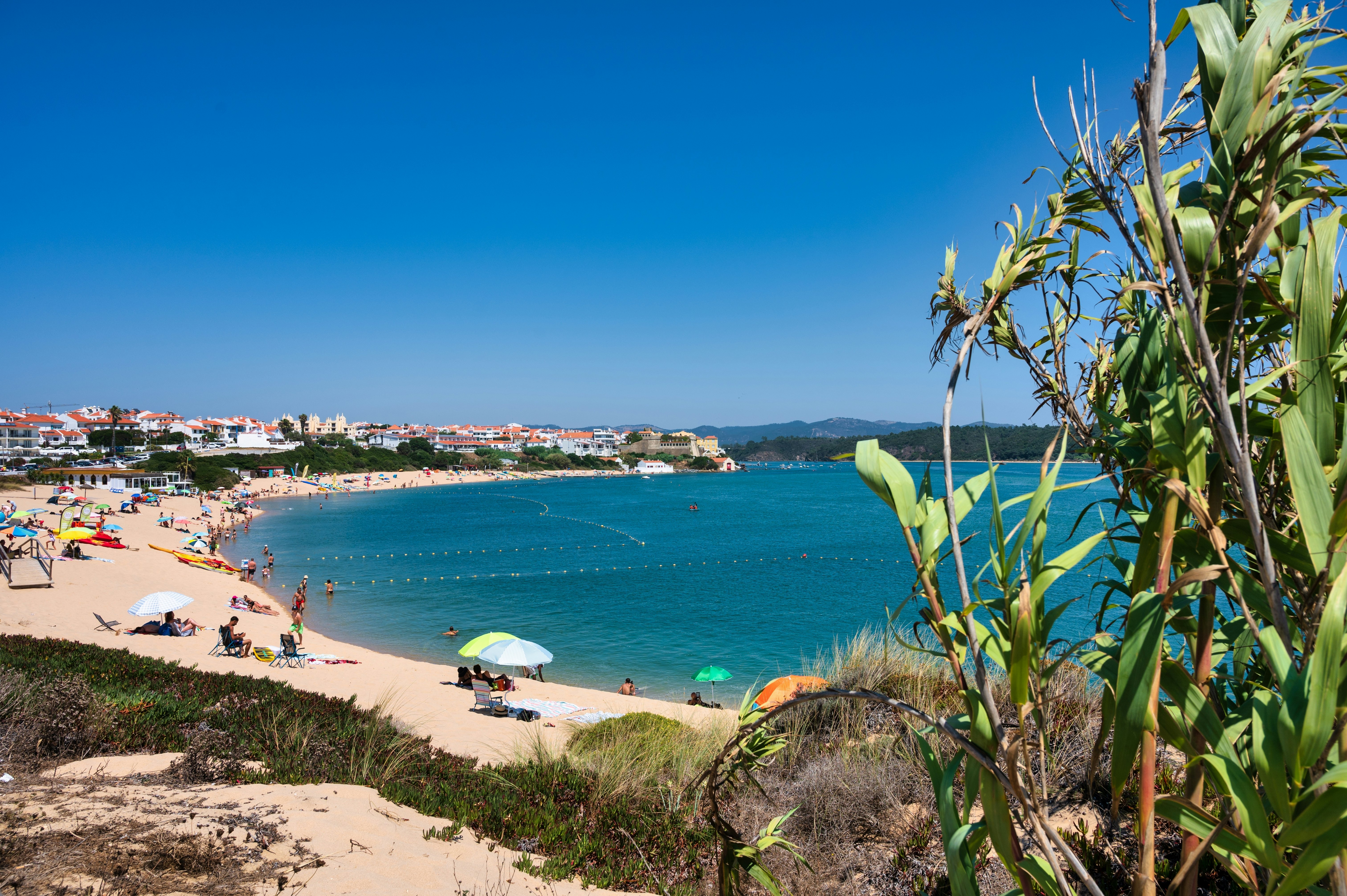 A view of a horseshoe-shaped beach from a dune with greenery to the right of the frame.