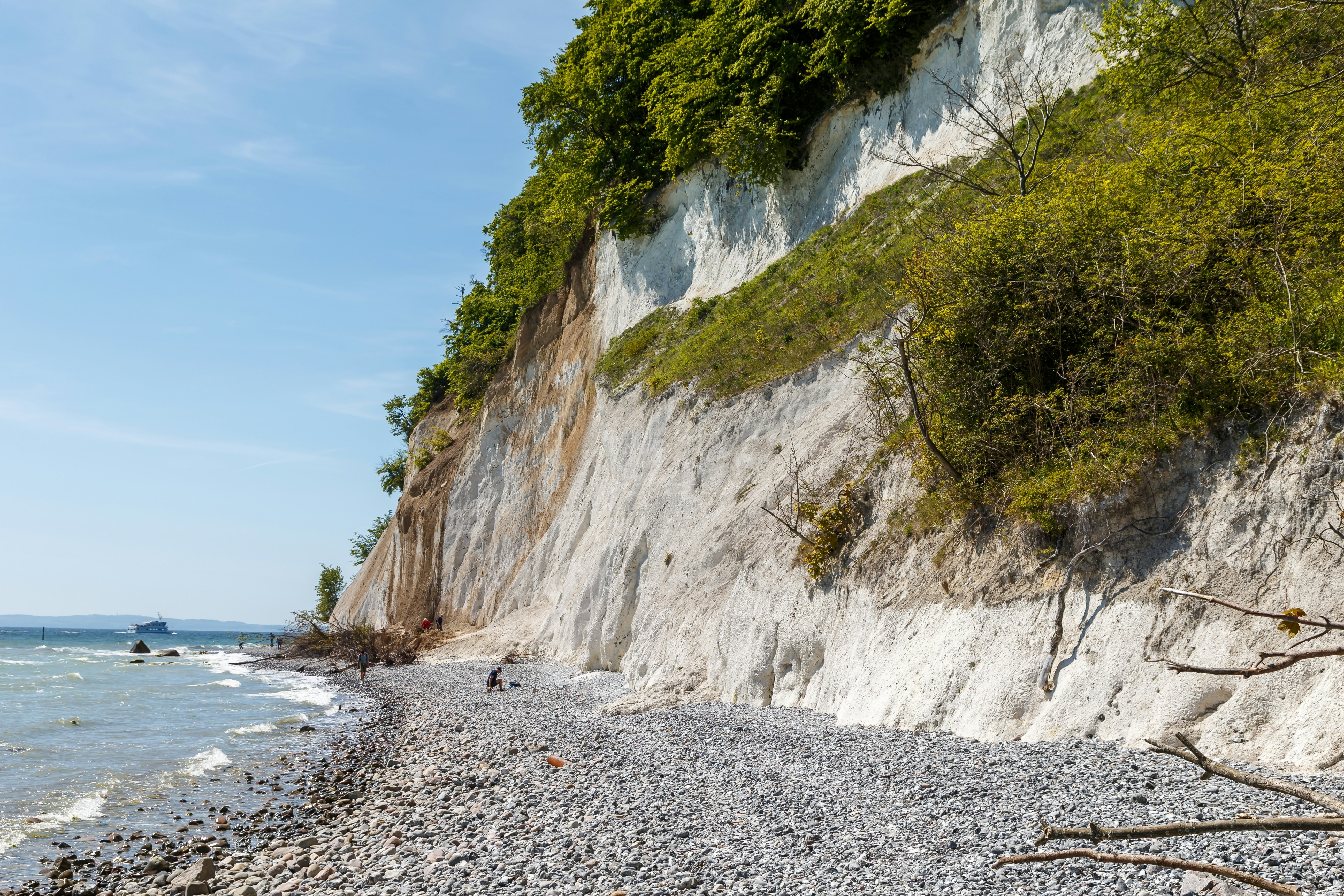 Steep white cliffs covered in vegetation rise from a rocky beach.