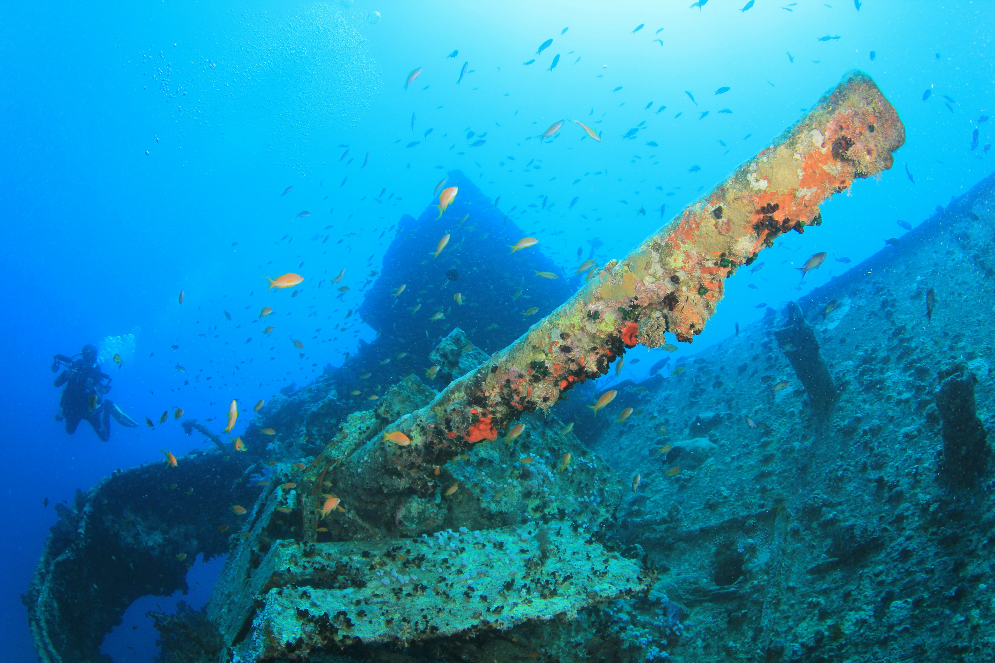 A diver underwater at a shipwreck in the Red Sea.