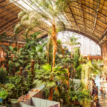 Tropical green house inside the sun-lit 19th century Atocha Railway Station.
187925276
tree, cafe, green, spain, travel, landmark, botanical, holiday, madrid, environmental, renovation, building, train, tourist, roof, forest, garden, passenger, intercity, terminal, interior, plant, greenhouse, railway, tourism, station, space, forecourt, indoors, shop, palm, vacation, europe, jungle, rainforest, atocha, century, 19th