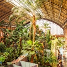 Tropical green house inside the sun-lit 19th century Atocha Railway Station.
187925276
tree, cafe, green, spain, travel, landmark, botanical, holiday, madrid, environmental, renovation, building, train, tourist, roof, forest, garden, passenger, intercity, terminal, interior, plant, greenhouse, railway, tourism, station, space, forecourt, indoors, shop, palm, vacation, europe, jungle, rainforest, atocha, century, 19th
