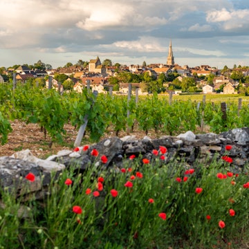 GettyImages-2157458791.jpg
Meursault