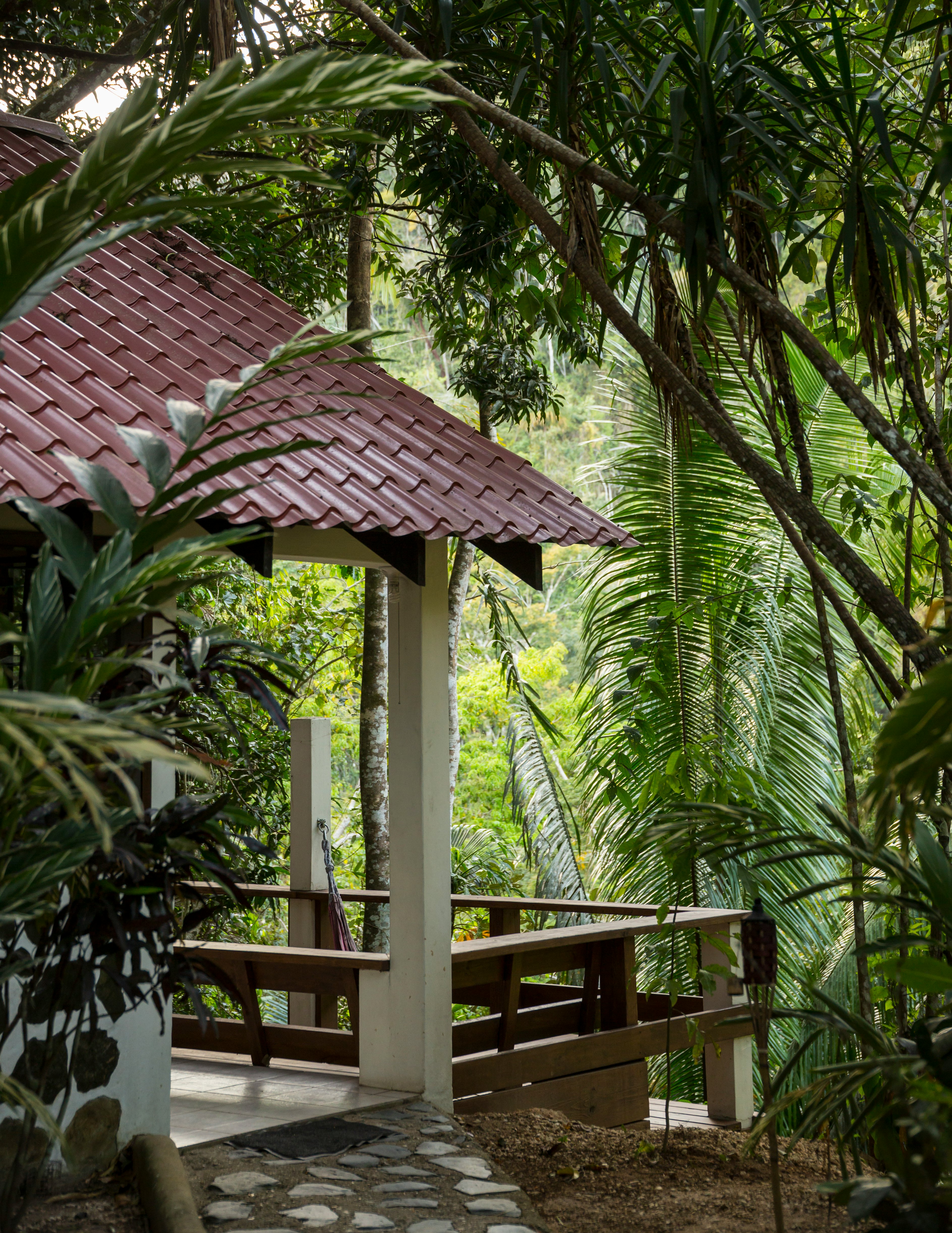 The deck of a cabin in a jungle.