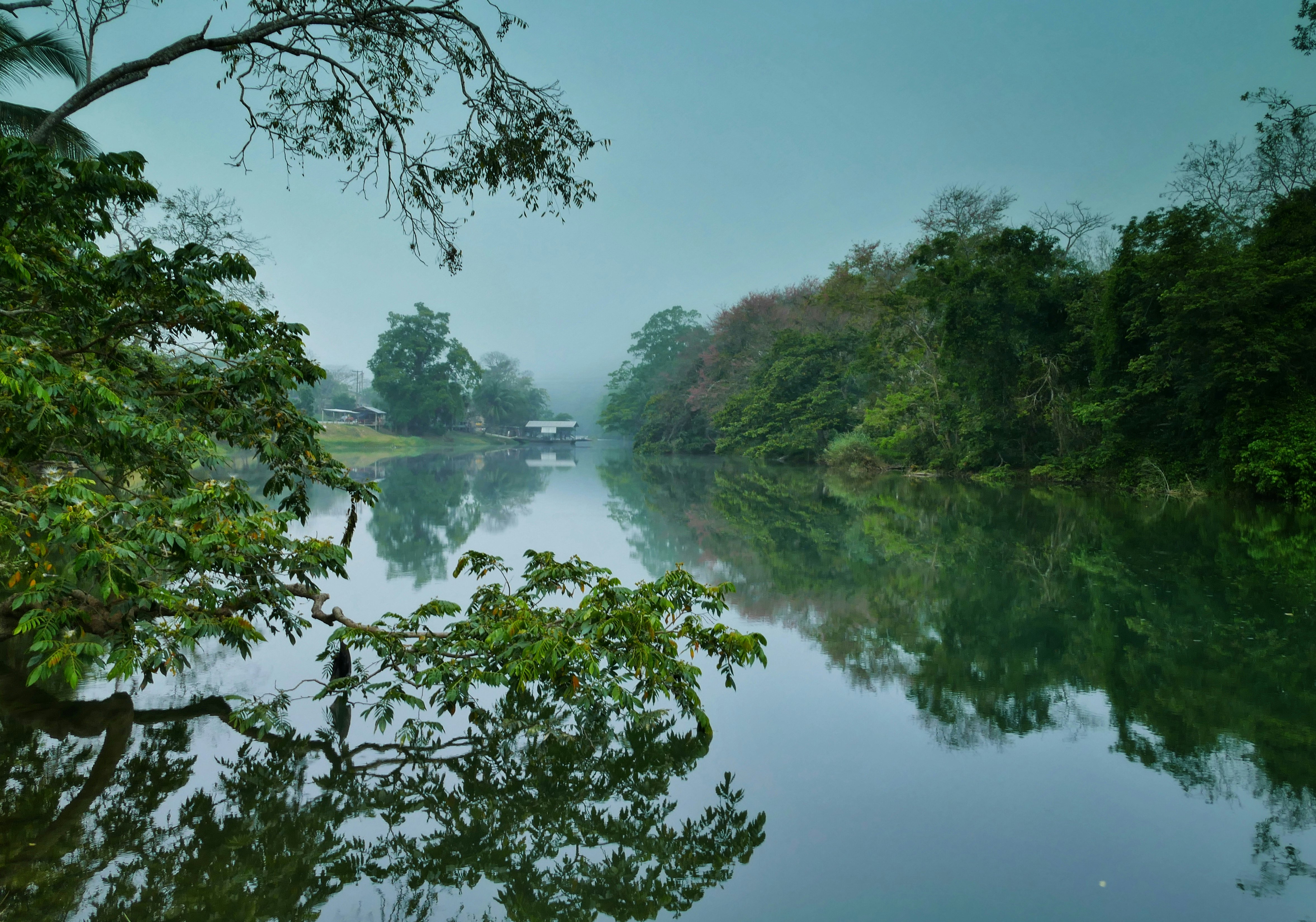 A calm, misty river with lush forest on either side; the trees are reflected in the water.