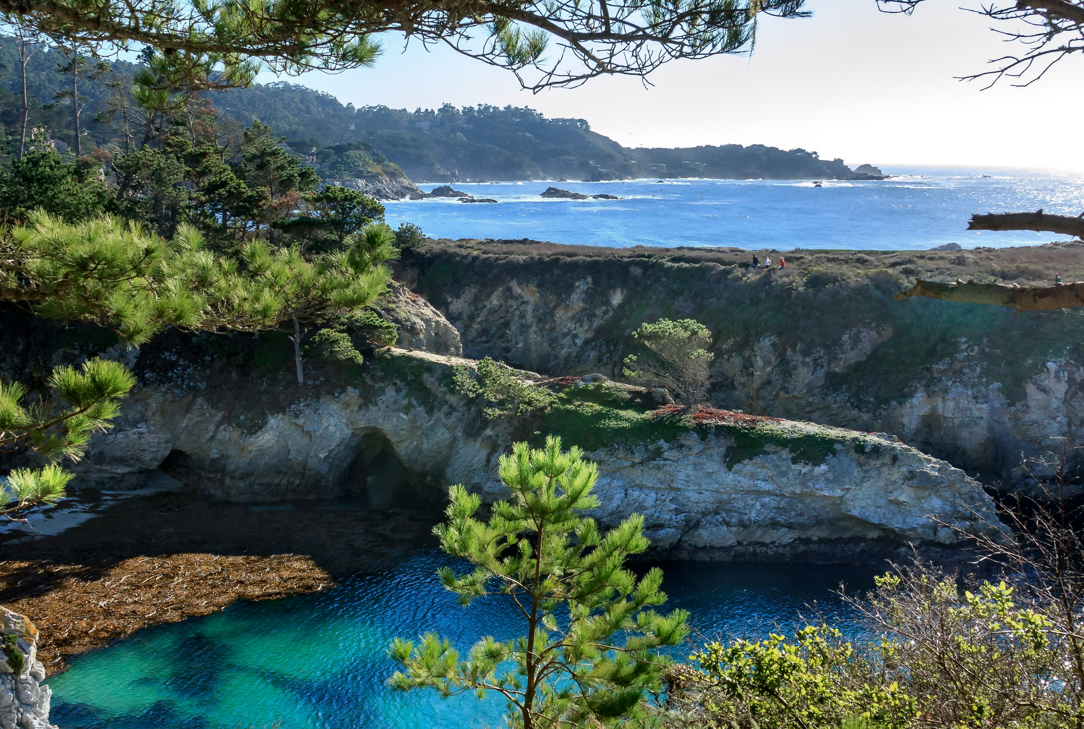 An image of Point Lobos State Natural Reserve on a sunny day. One of the most picturesque locations in all of California. Very close to Carmel-by-the-sea, California.