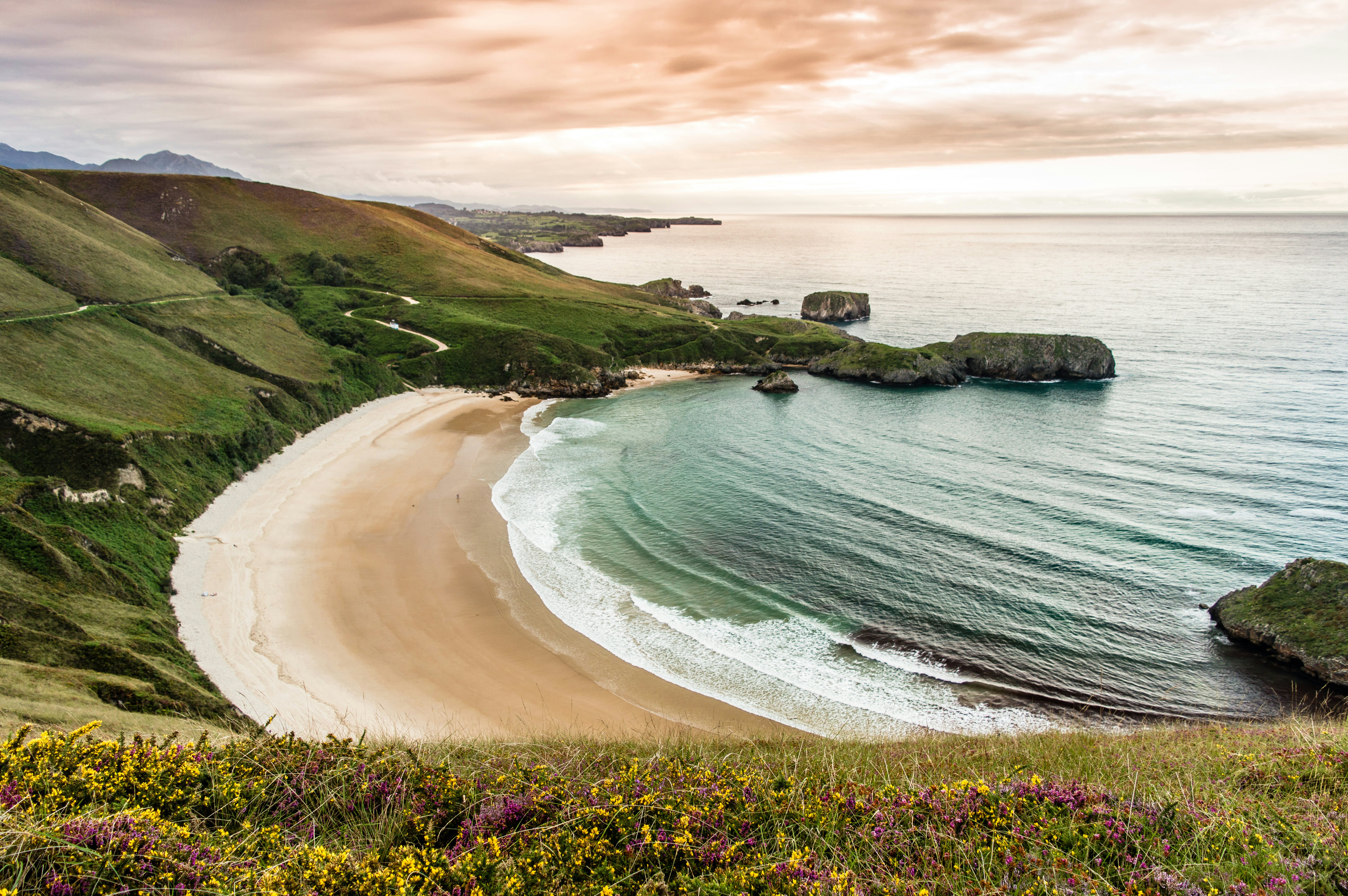 A shot from above of a crescent-shaped beach at sunset. Grassy hills descend to the beach.