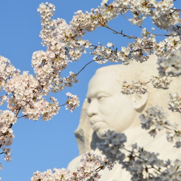 WASHINGTON DC - APRIL 11, 2014: The Martin Luther King Jr Memorial located on the National Mall on the Tidal Basin in Washington DC. The memorial opened to the public on August 22, 2011 License Type: media Download Time: 2023-02-03T13:43:48.000Z User: bhealy950 Is Editorial: Yes purchase_order: