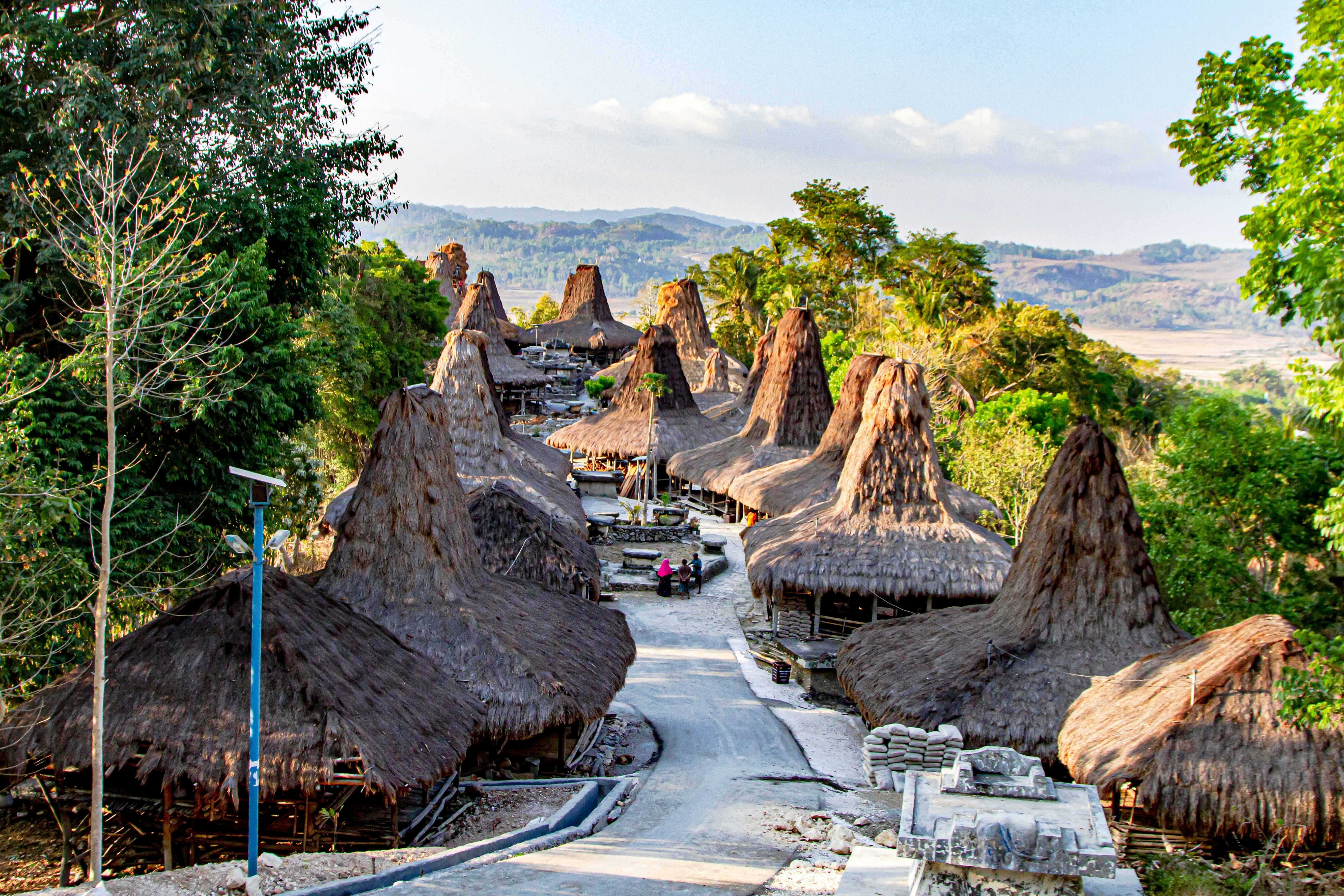 A road leads past houses with thatched roofs and steep peaks on a tropical island.