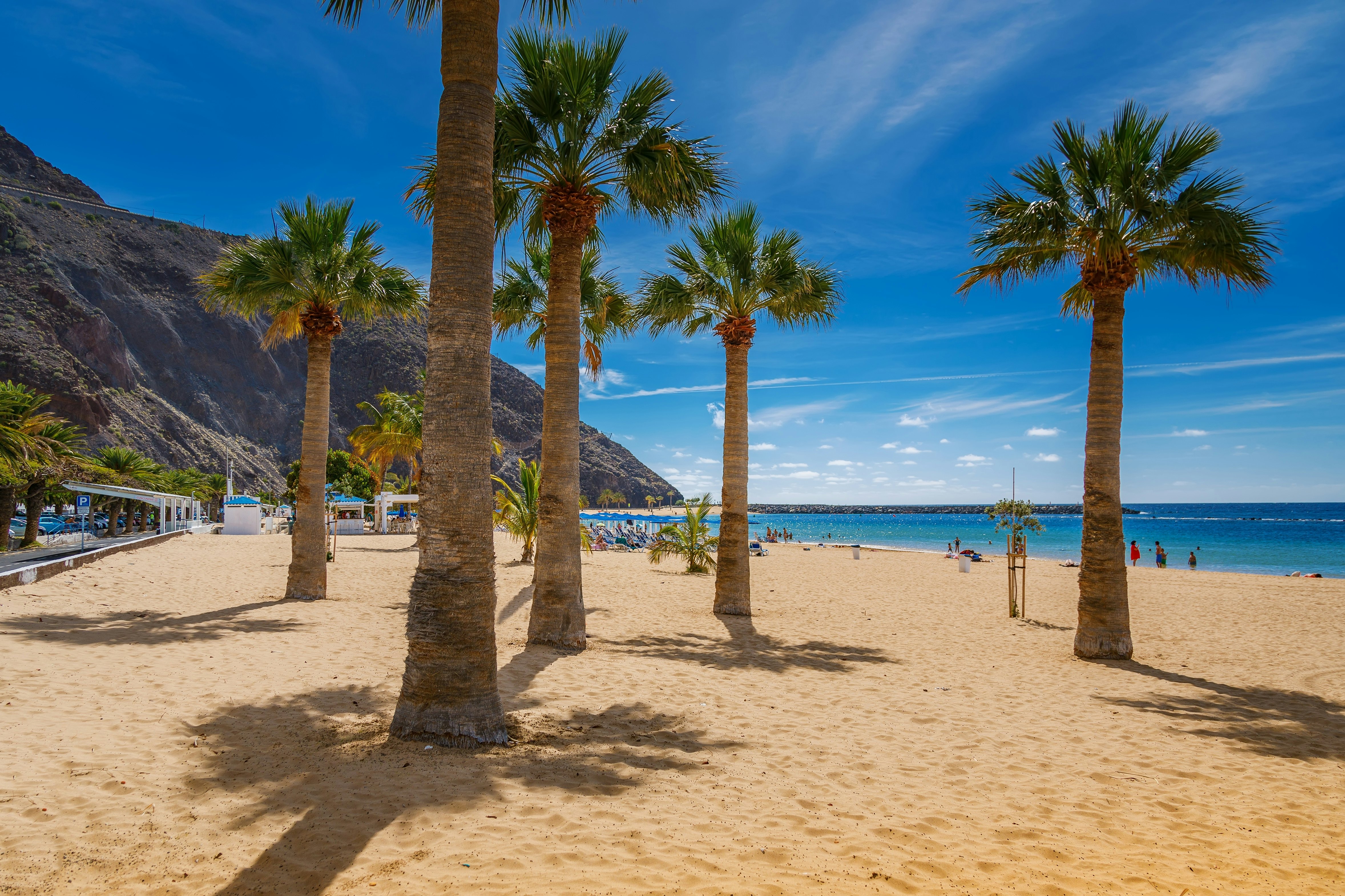 Think palm trees grow on a golden-sand beach. A hill in the distance descends to the sea.