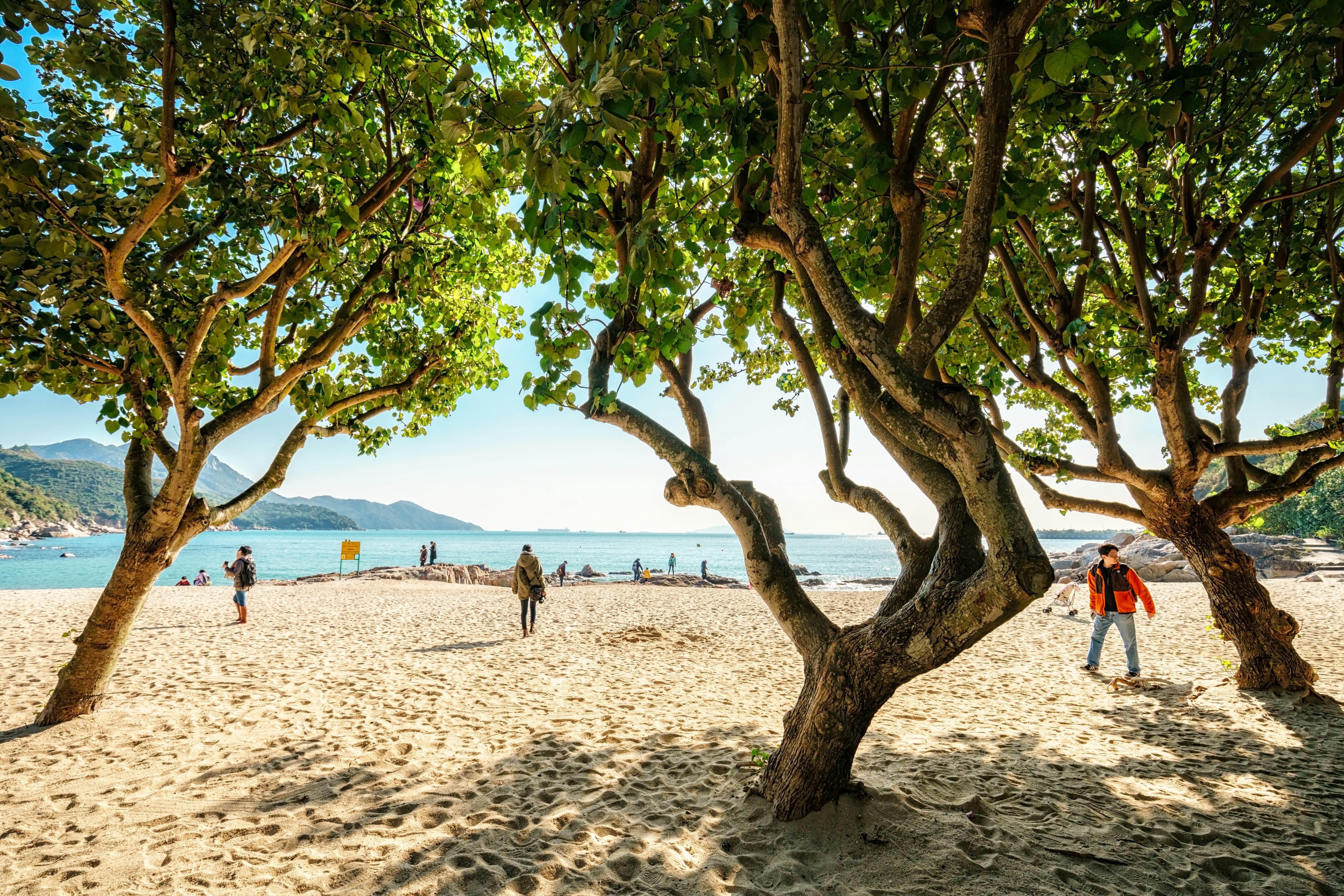 People walk through a tree-shaded grove on a beach, with the blue sea in the distance.