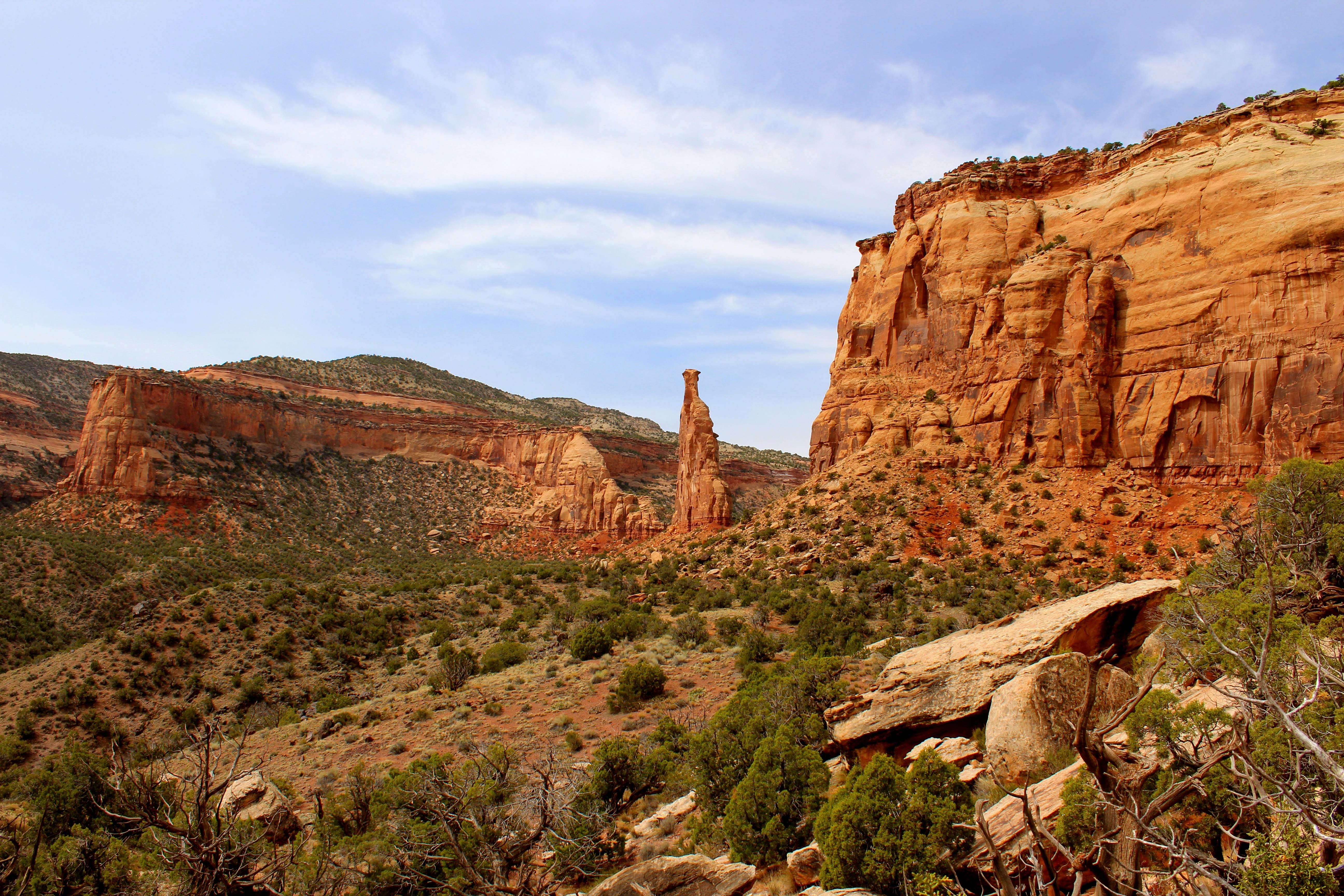 Colorado National Monument Grand Junction Canyon. Wandering Sparrow/Shutterstock